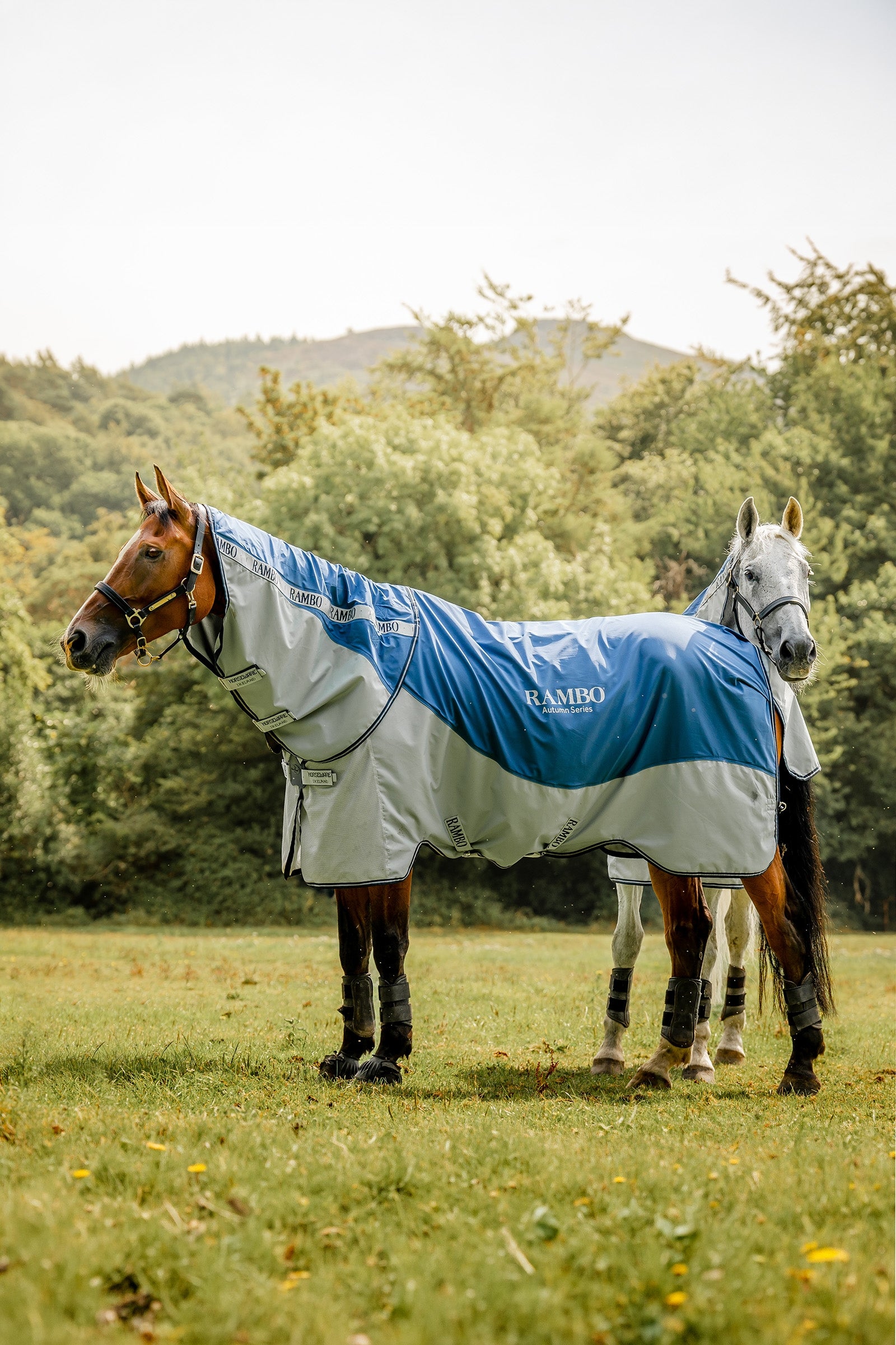 Horseware Rambo Autumn Series Turnout Rug With Liner (0g / 100g) Horse Rugs