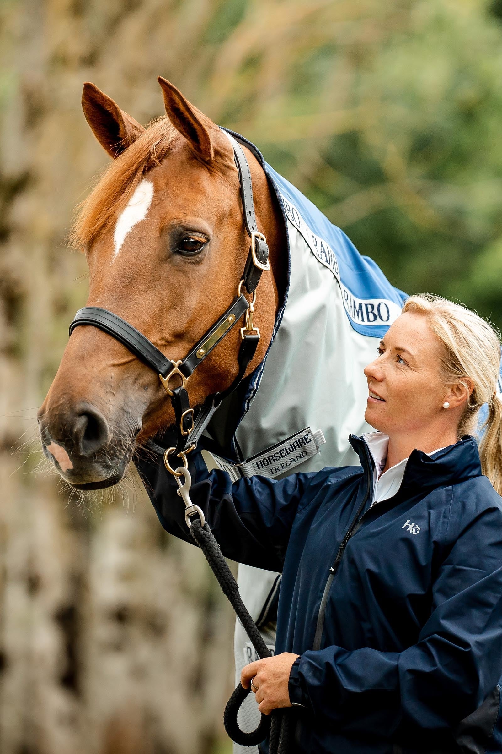 Horseware Rambo Autumn Series Turnout Rug With Liner (0g / 100g) Horse Rugs