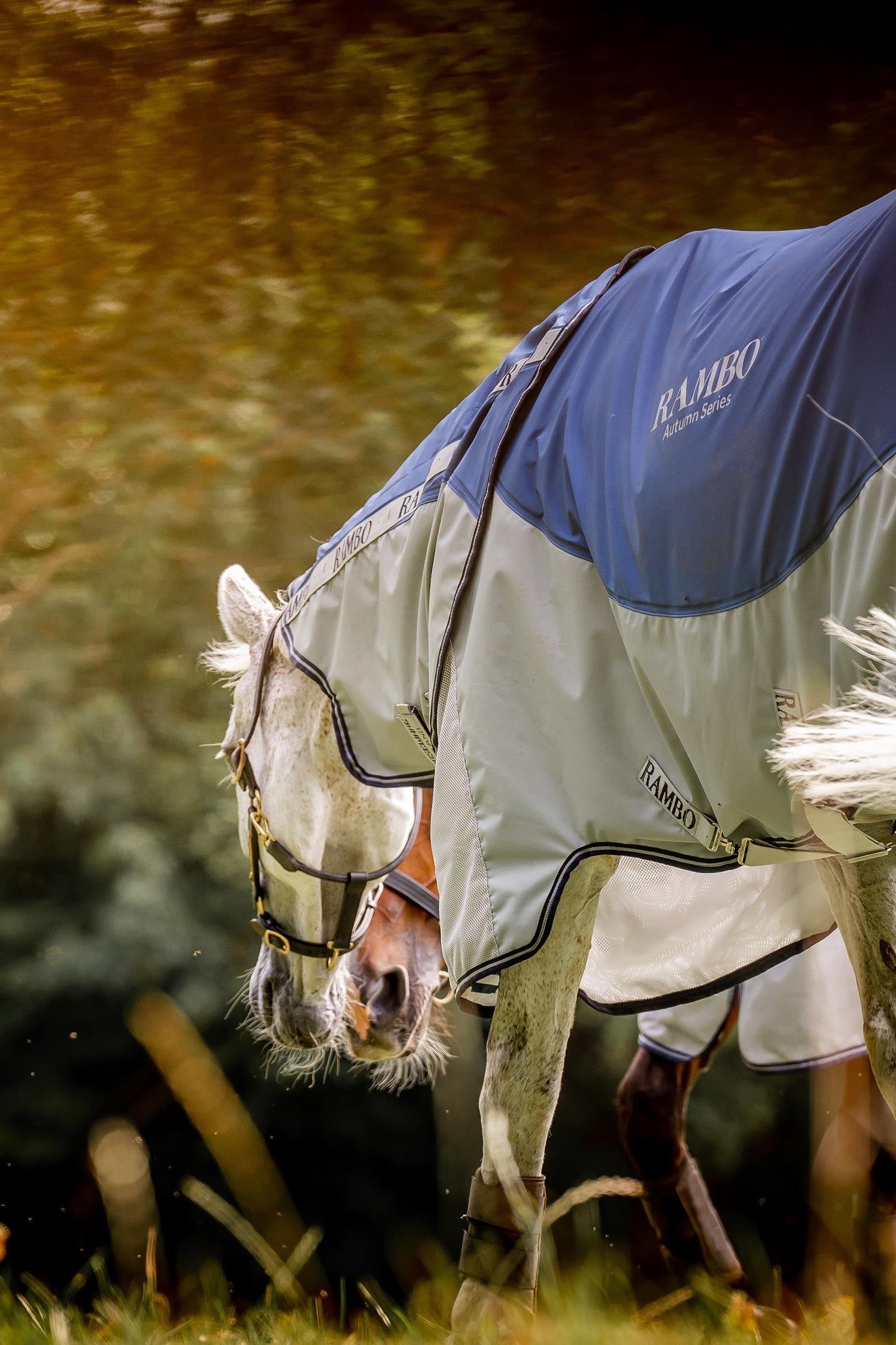 Horseware Rambo Autumn Series Turnout Rug With Liner (0g / 100g) Horse Rugs