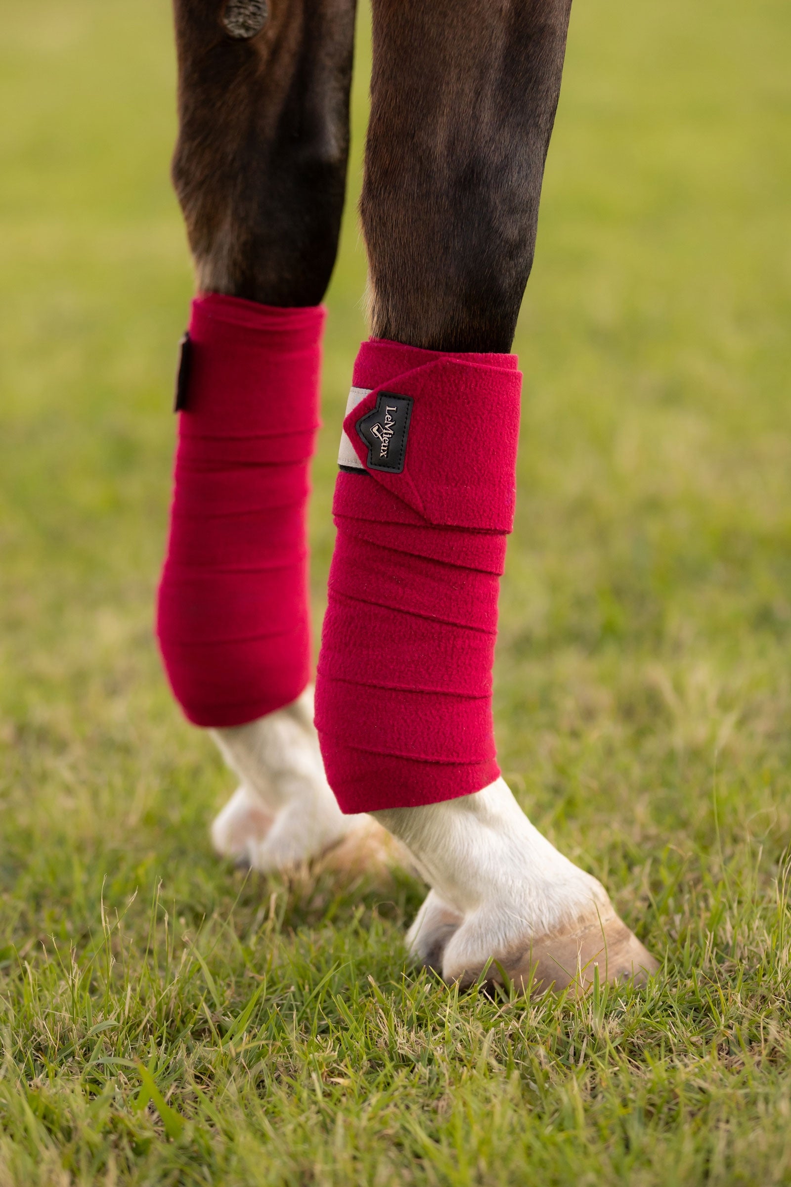LeMieux Polo Bandages Leg Protection & Hoof Protection for Horses