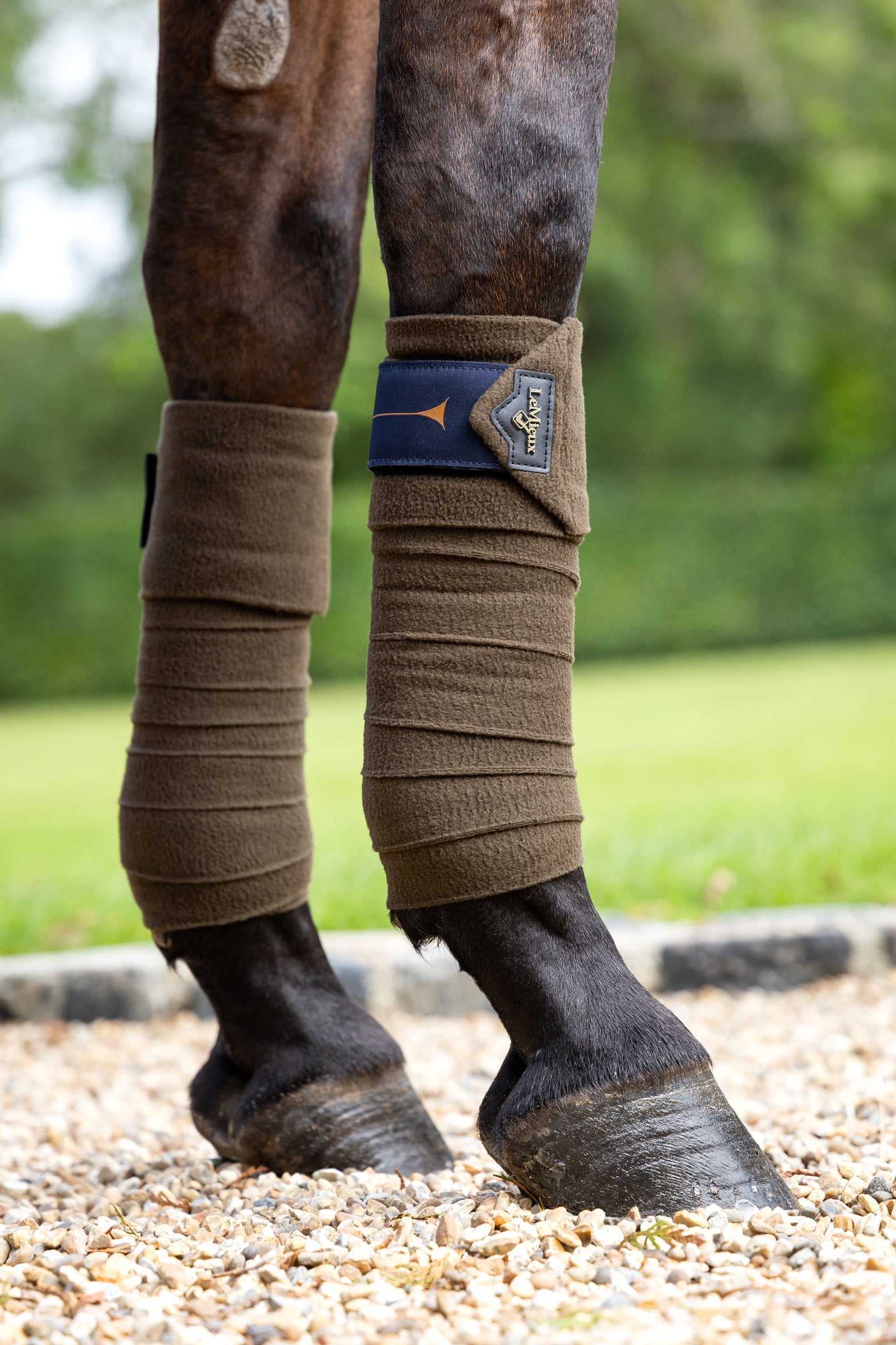 LeMieux Polo Bandages Leg Protection & Hoof Protection for Horses