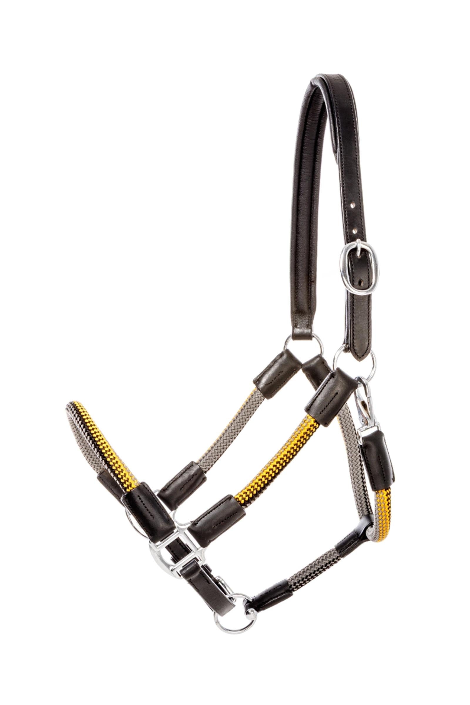 Pack shot 2
