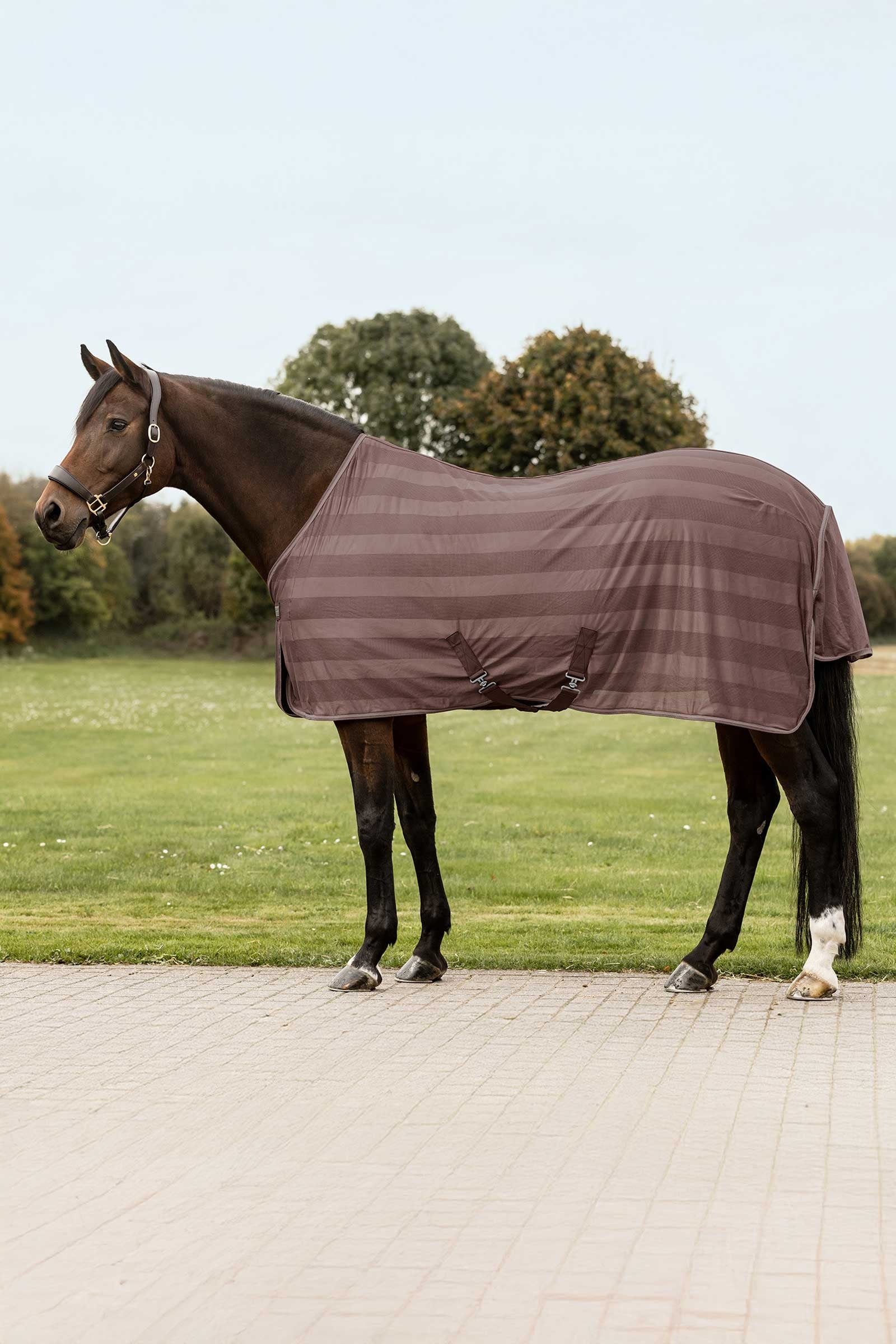 Waldhausen Economic Fly Rug Horse Rugs