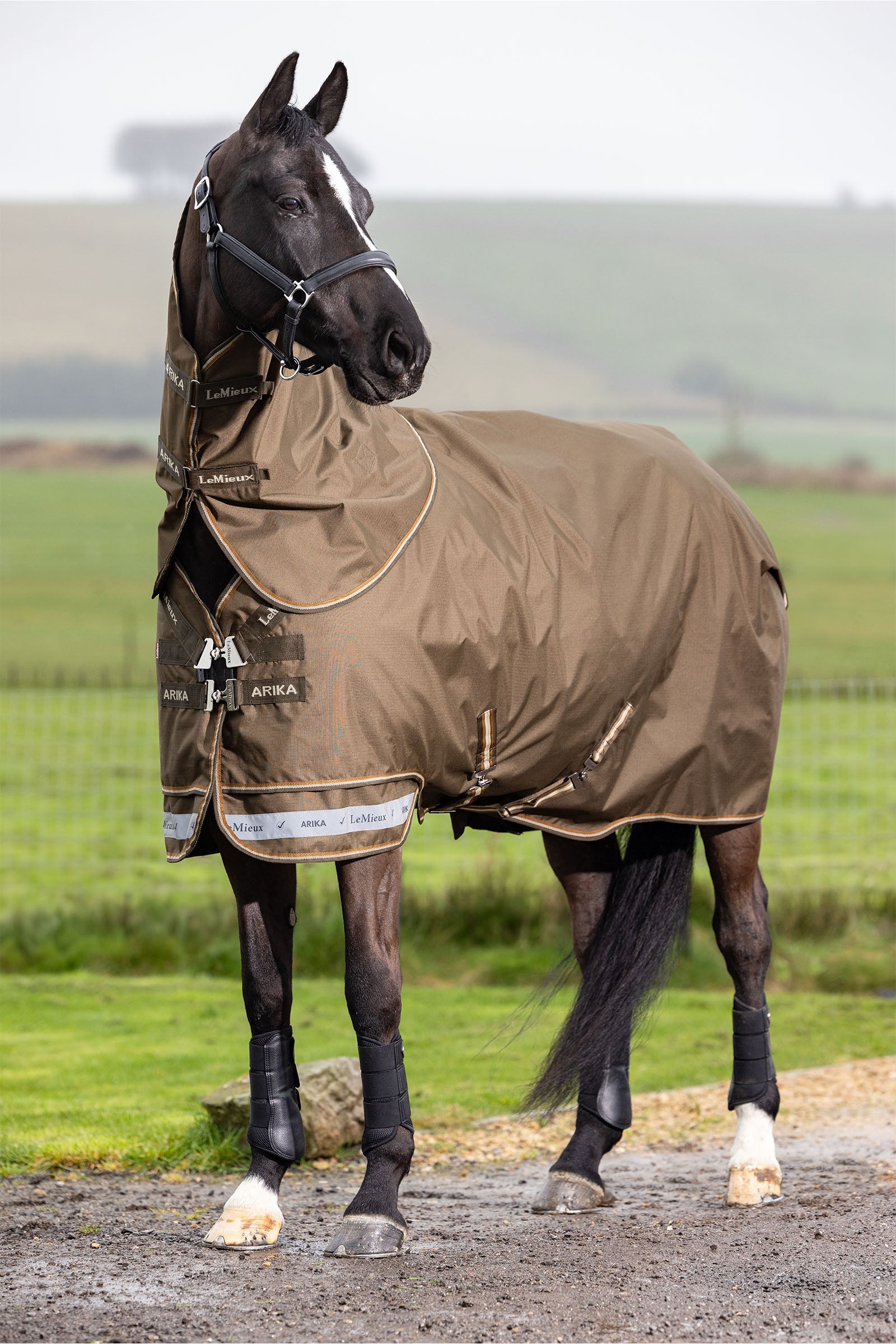 LeMieux Arika Ripstop Turnout Rug With Detachable Neck, 0 g Horse Rugs
