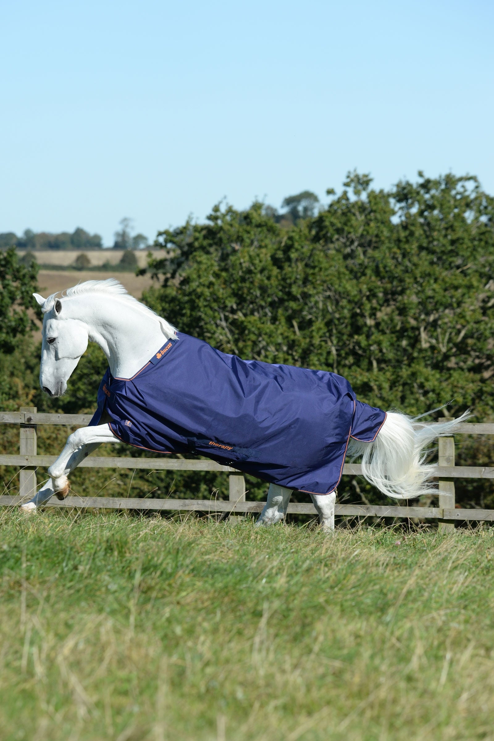 Bucas Therapy Turnout Rug Light, 50g Horse Rugs