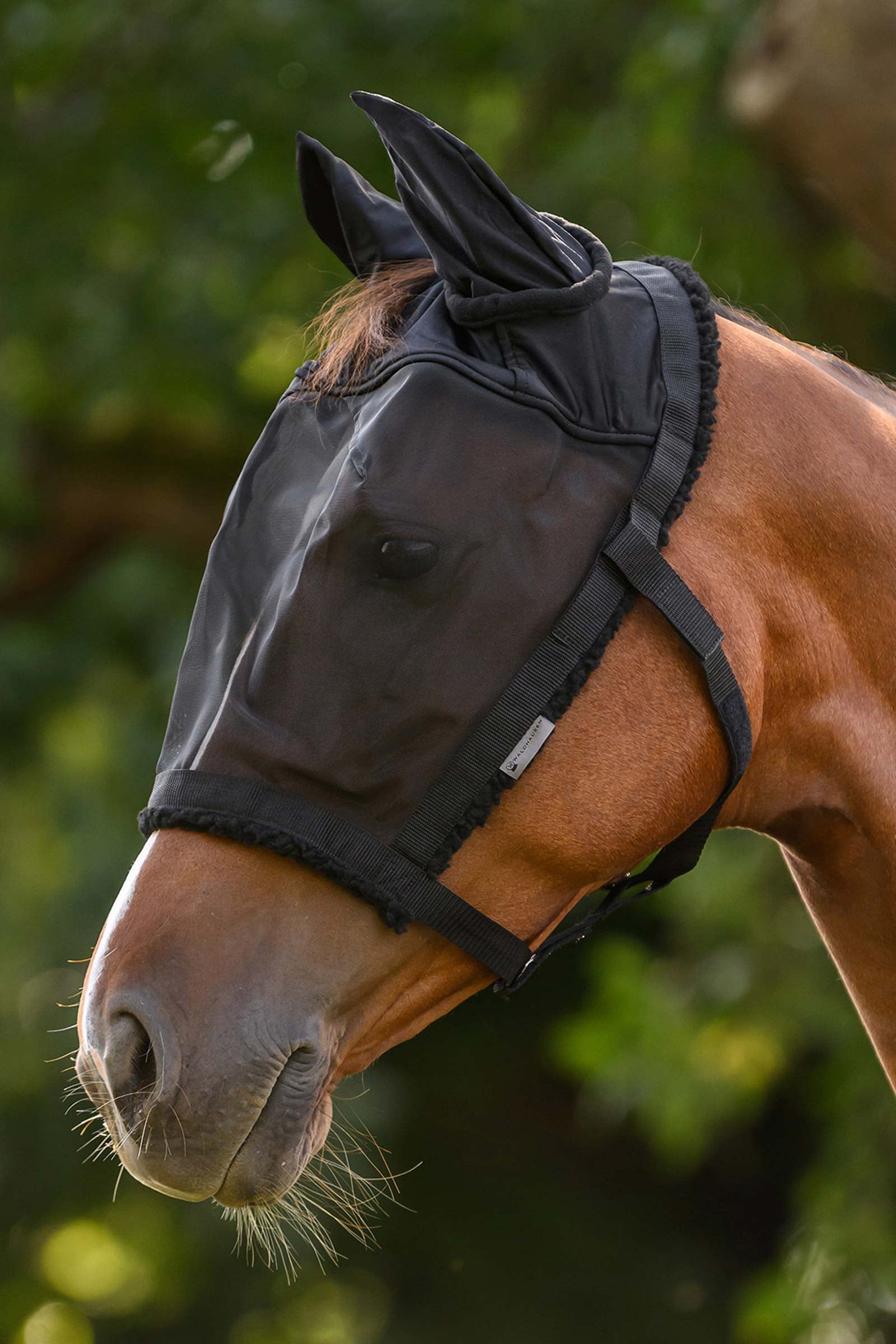 Waldhausen Grazing Halter With Fly Mask Antifly Protection for Horses