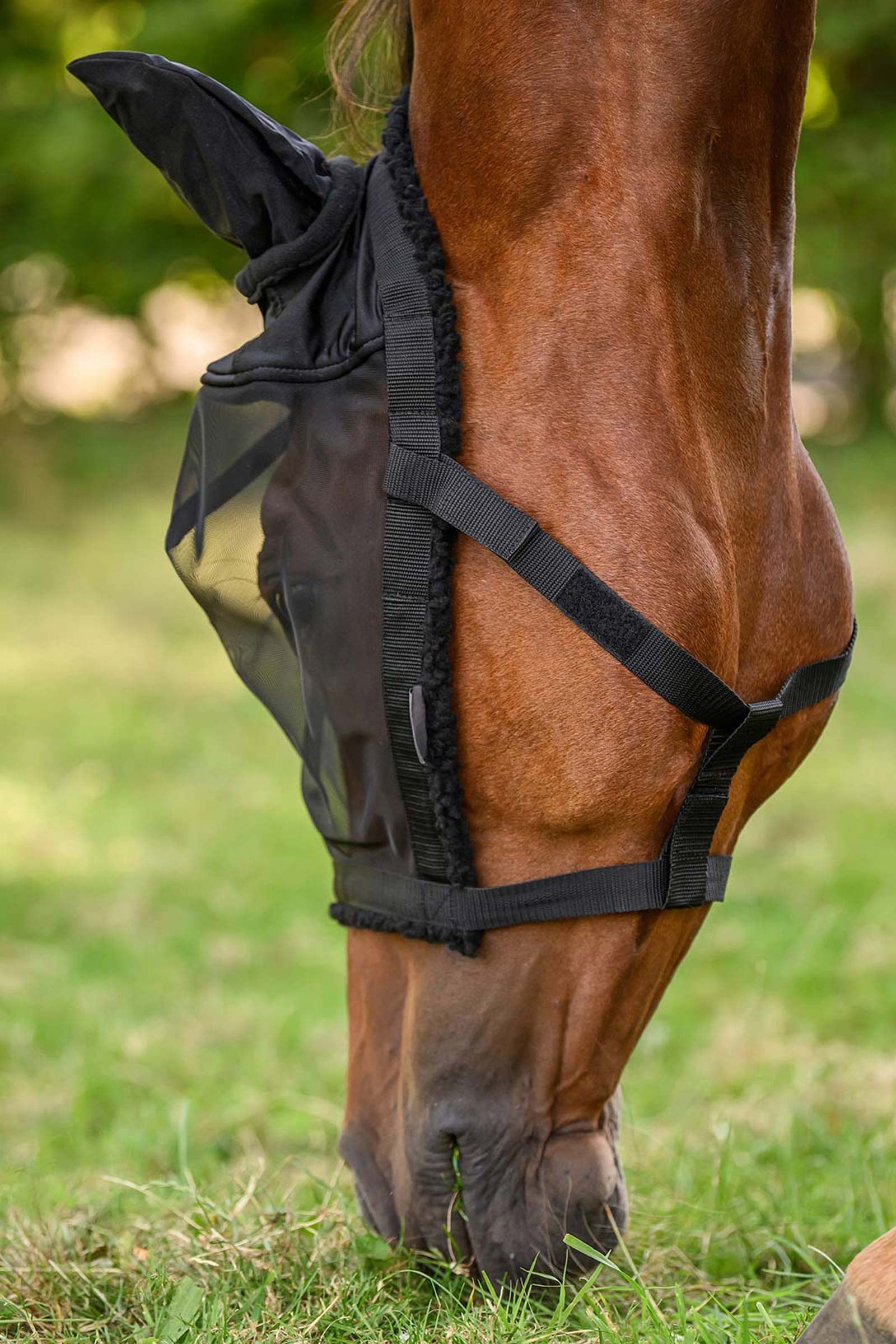 Waldhausen Grazing Halter With Fly Mask Antifly Protection for Horses