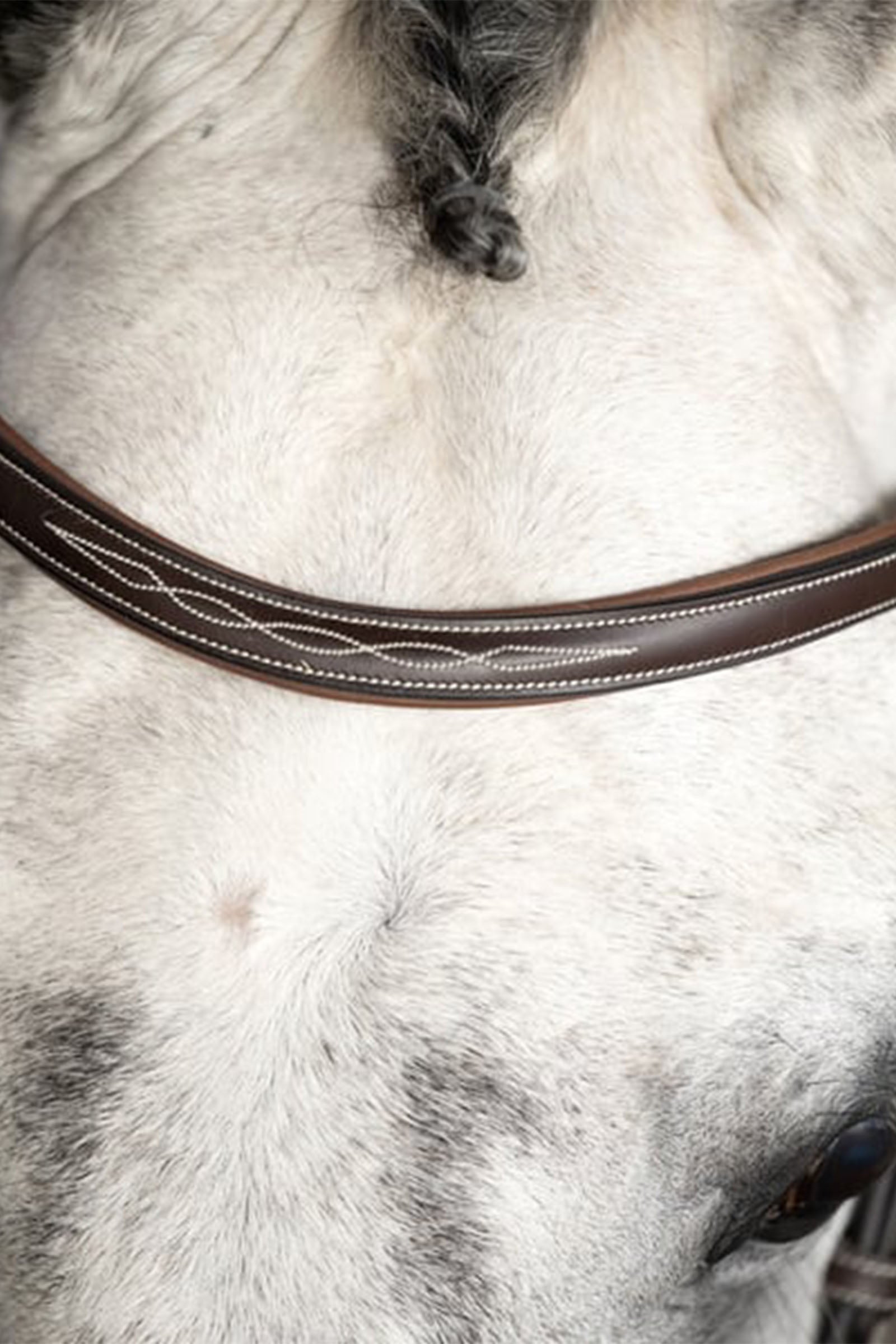 PS of Sweden Bridle Ocala Bridles & Reins