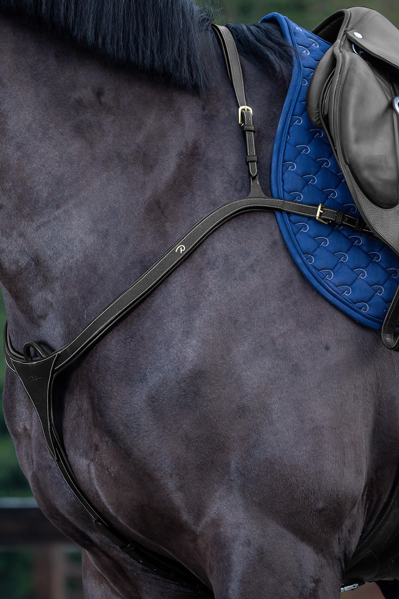 Dy'on D Collection Vorderzeug mit langer Brücke Trensenzäume & Zügel