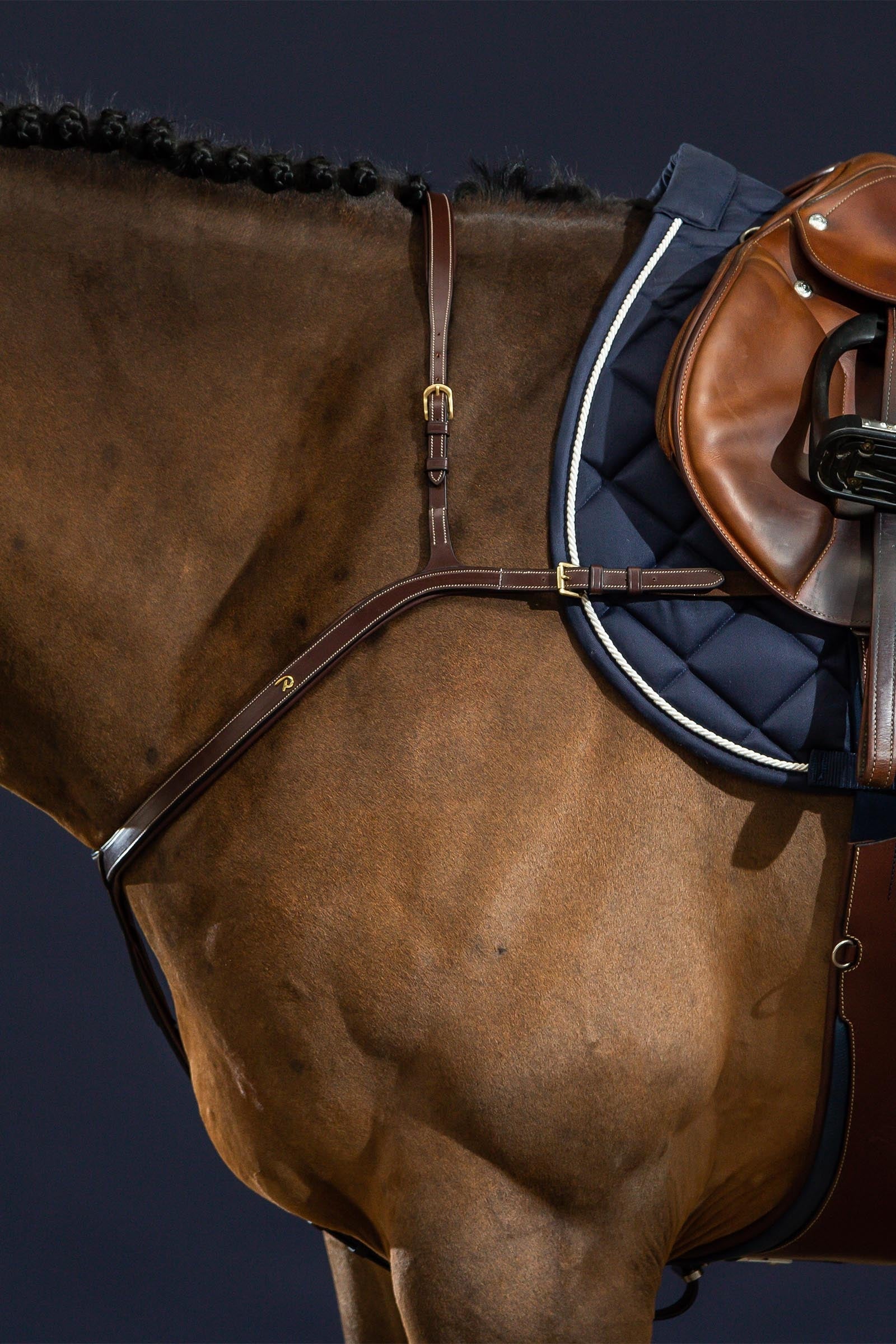 Dy'on D Collection Long Bridge Breastplate Bridles & Reins