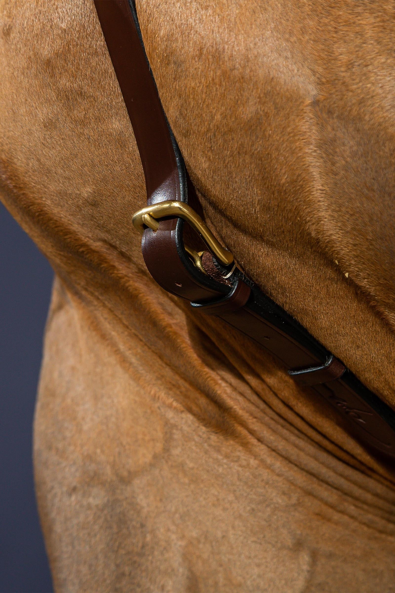 Dy'on D Collection Long Bridge Breastplate Bridles & Reins