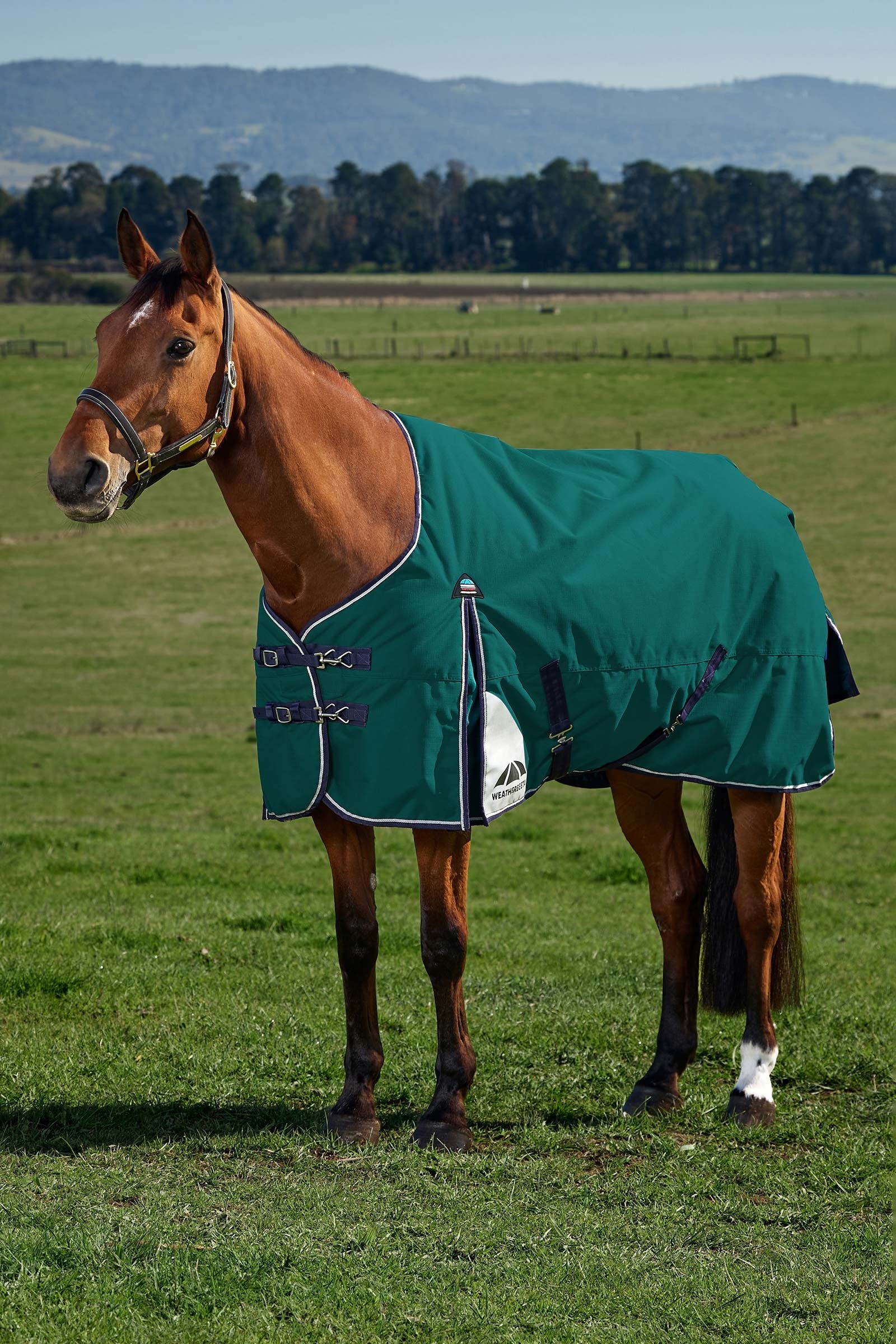 Weatherbeeta ComFiTecPlus Dynamic Turnout Standard Neck 0G Pferdedecken