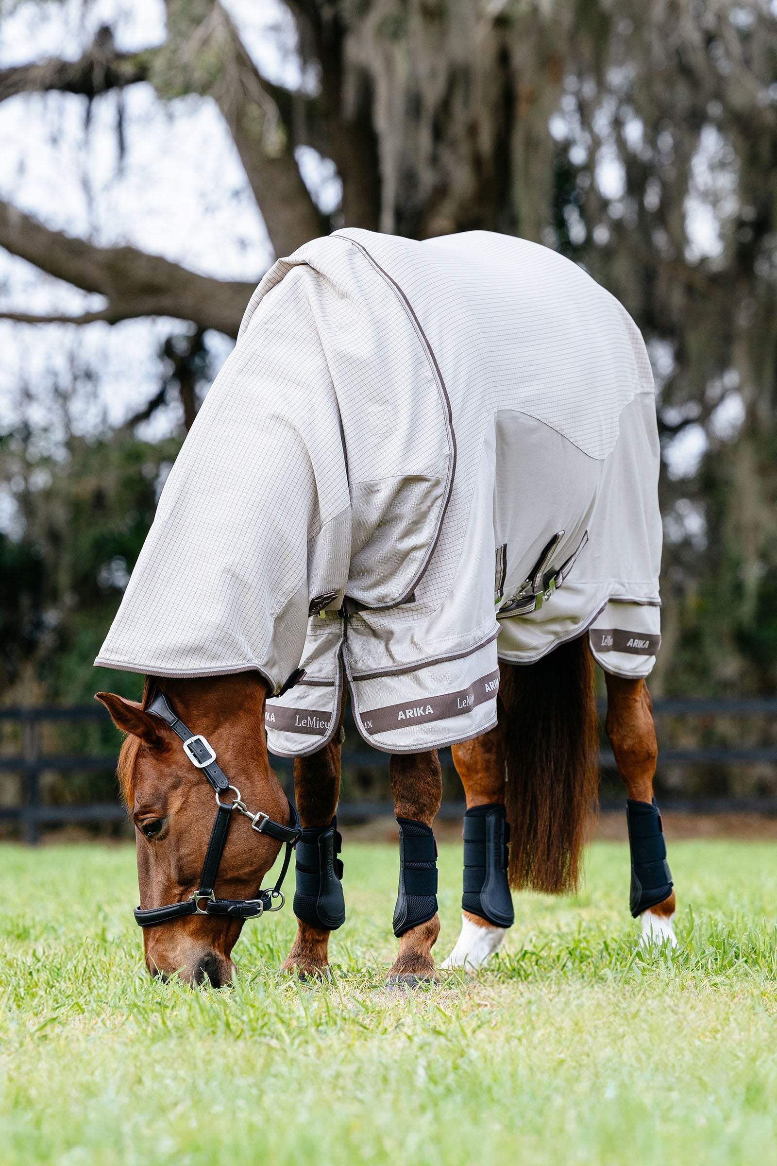 LeMieux Arika 450D Sunstopper Rug With Detachable Neck, 0g Horse Rugs