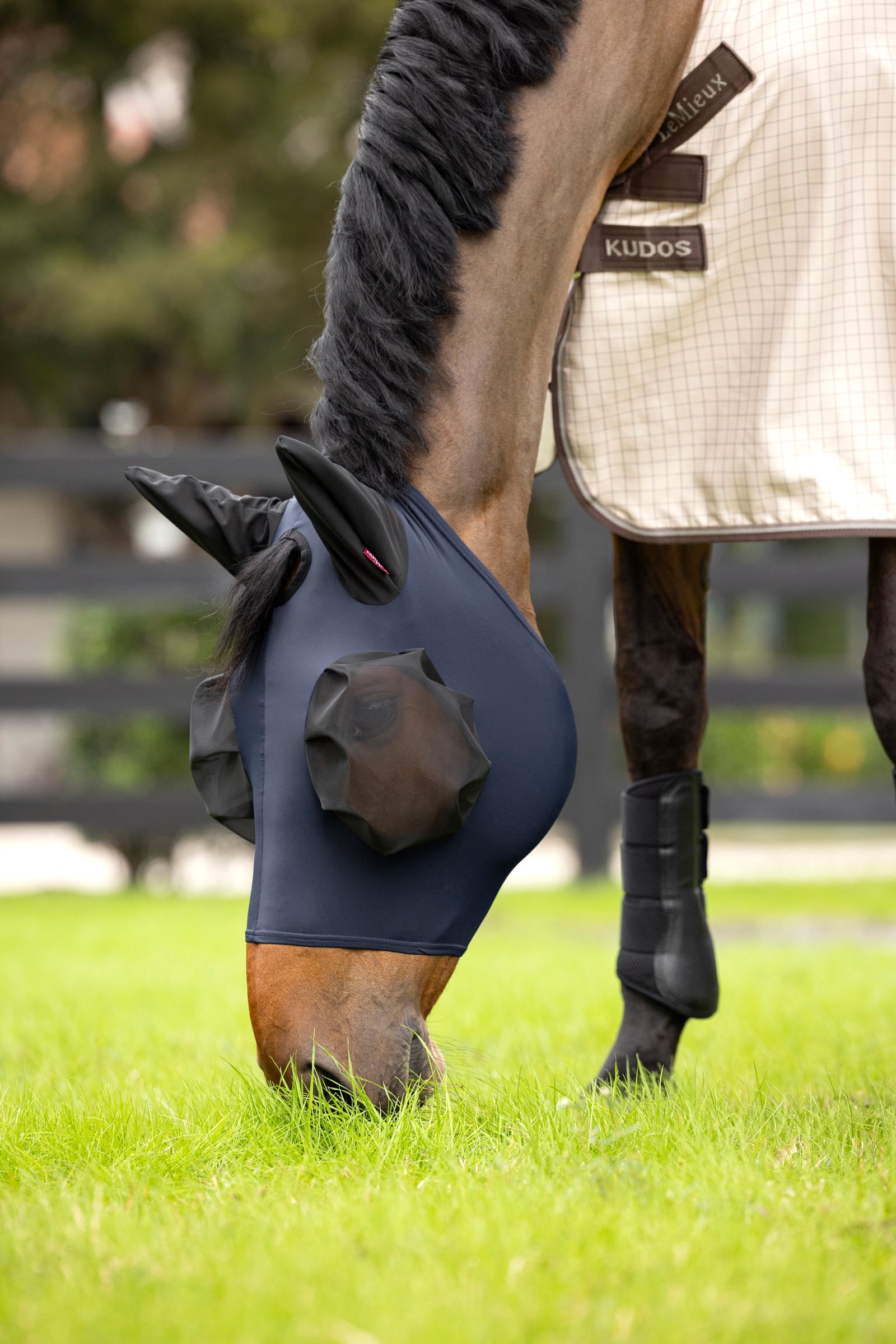 LeMieux Bug Relief Half Mask Antifly Protection for Horses
