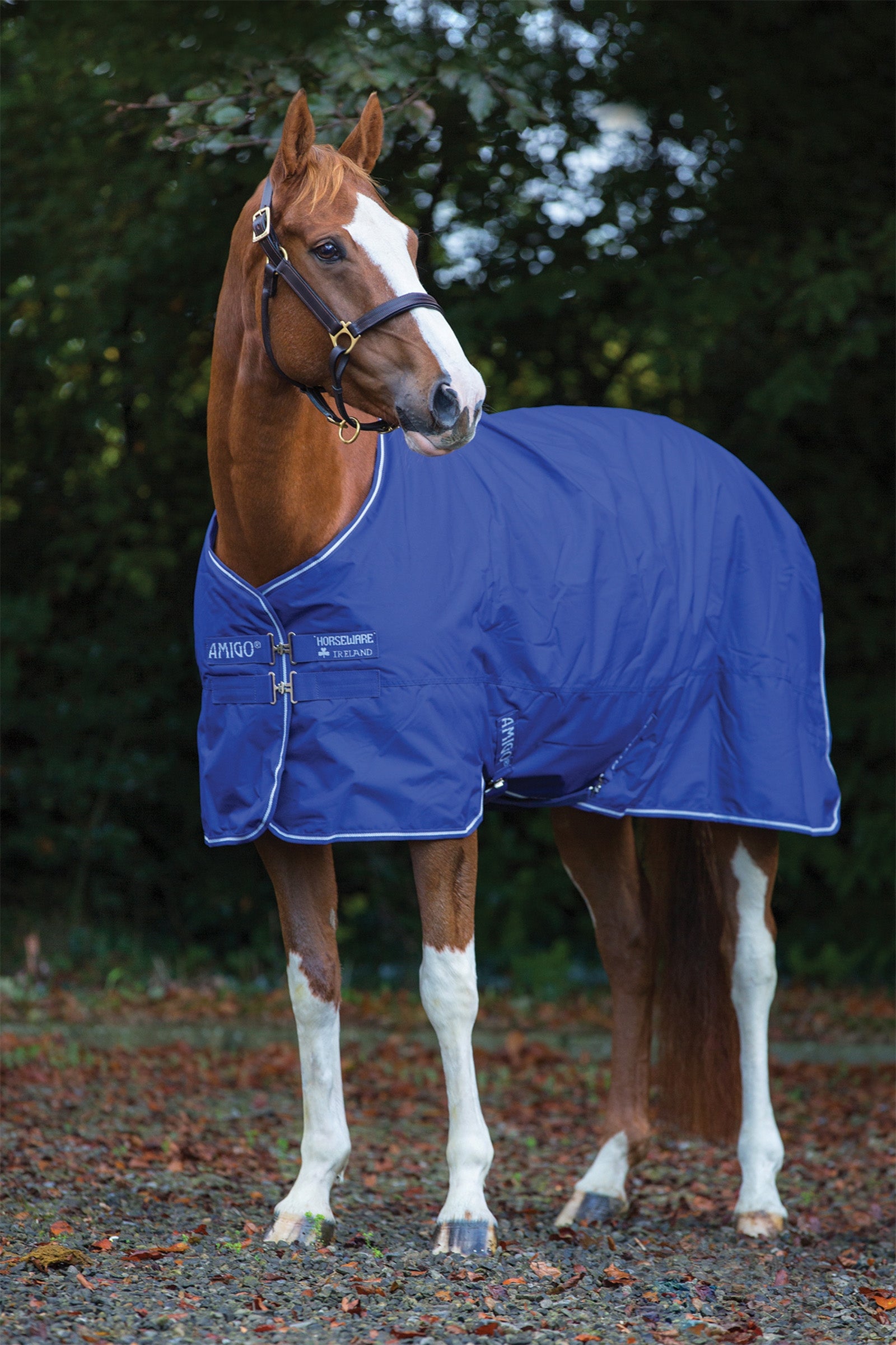 Horseware Amigo Hero 900 Plus Medium Weidedecke, 200g Pferdedecken