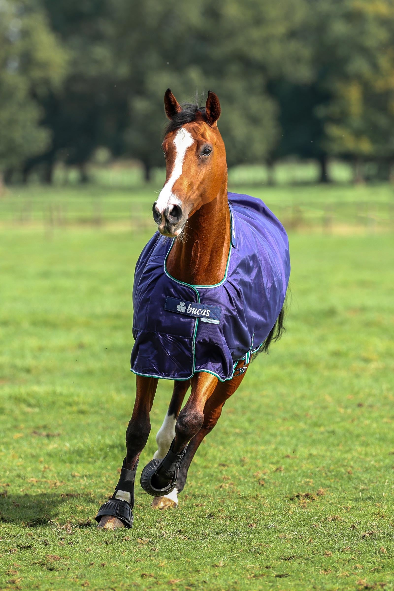 Bucas Smartex Rain Turnout Rug, 0g Horse Rugs