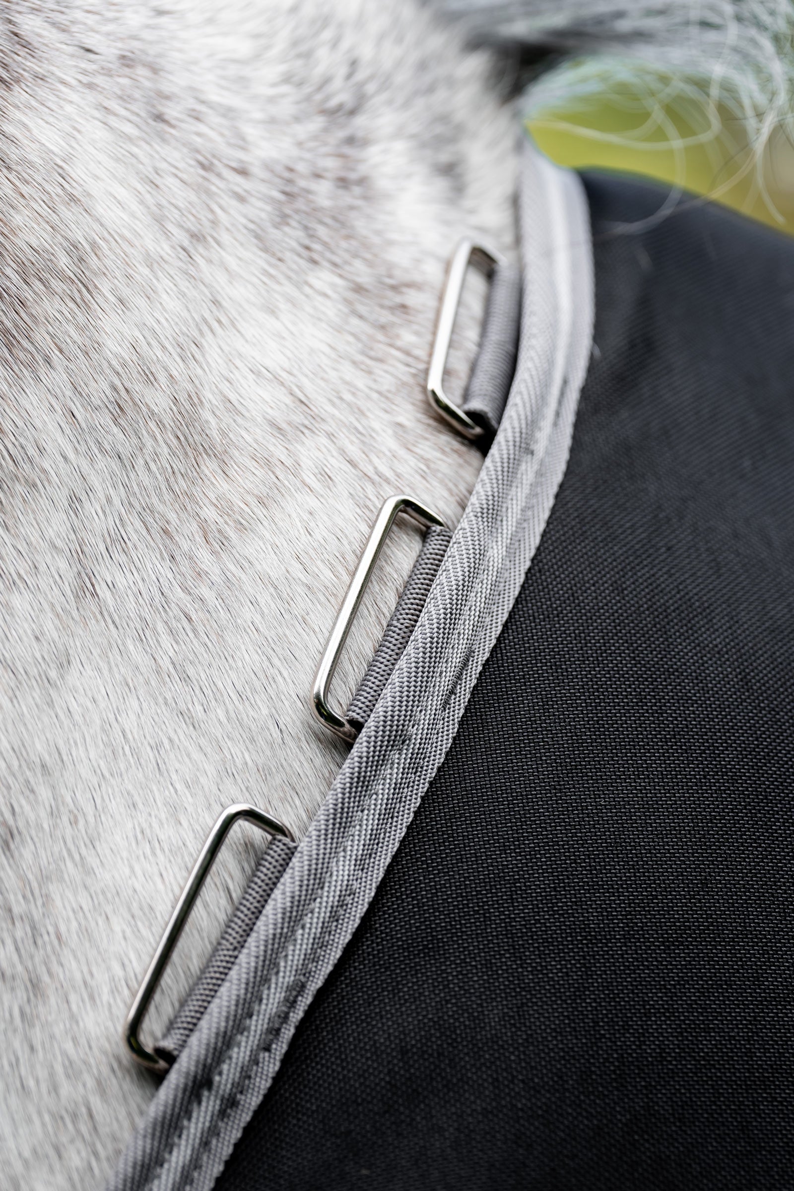 Horseware Amigo 1200D Turnout Rug, 100 g Horse Rugs