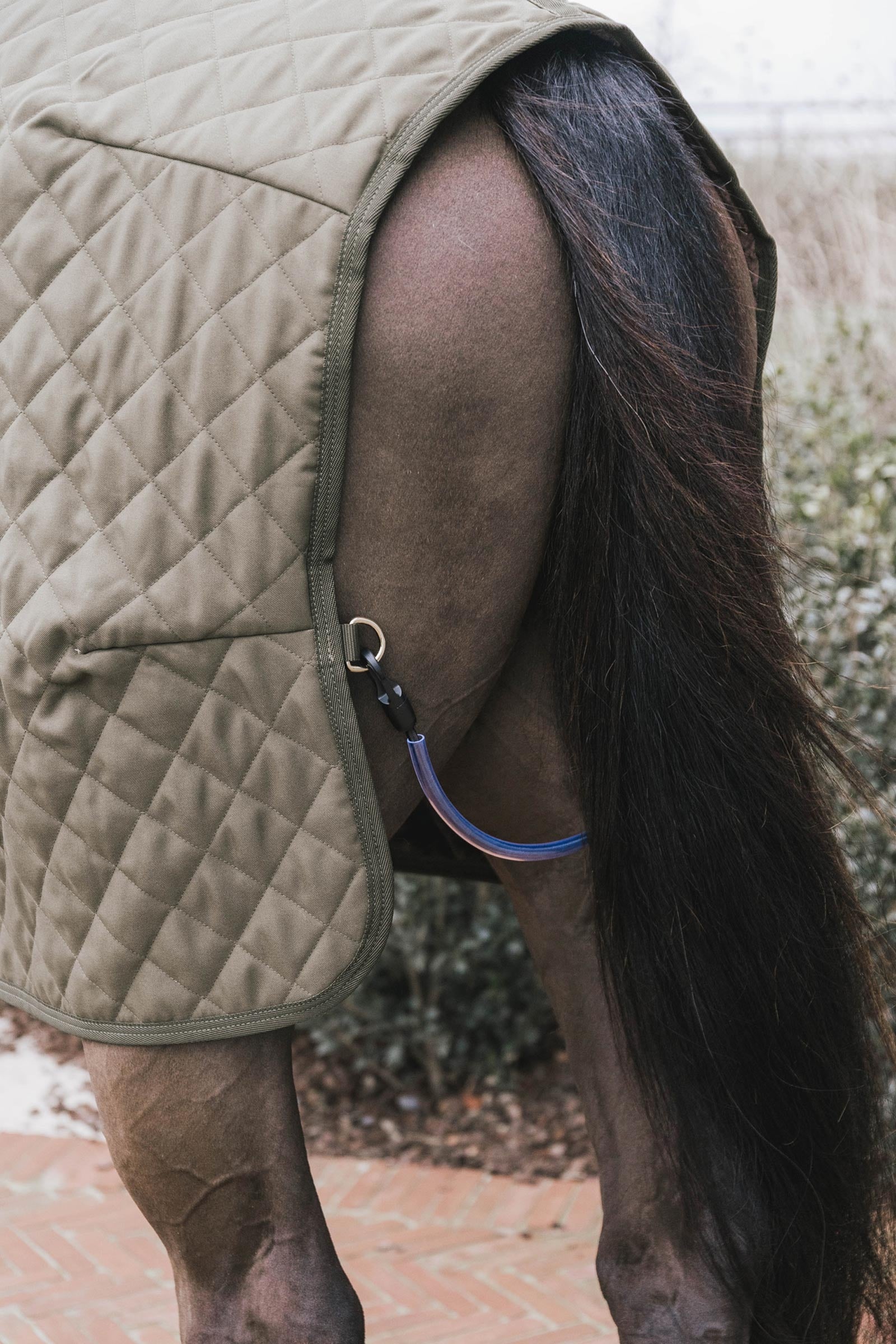 Kentucky Horsewear Show rug 160g Horse Rugs