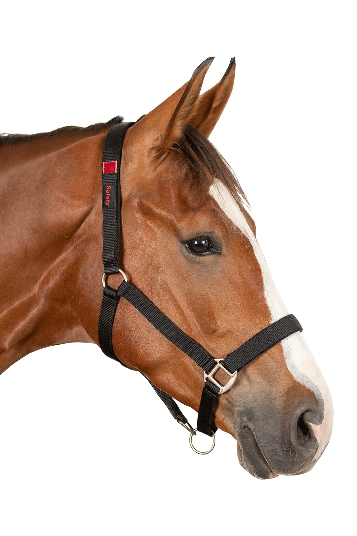 Waldhausen Clever-Open Safety Halter Halters & Leads