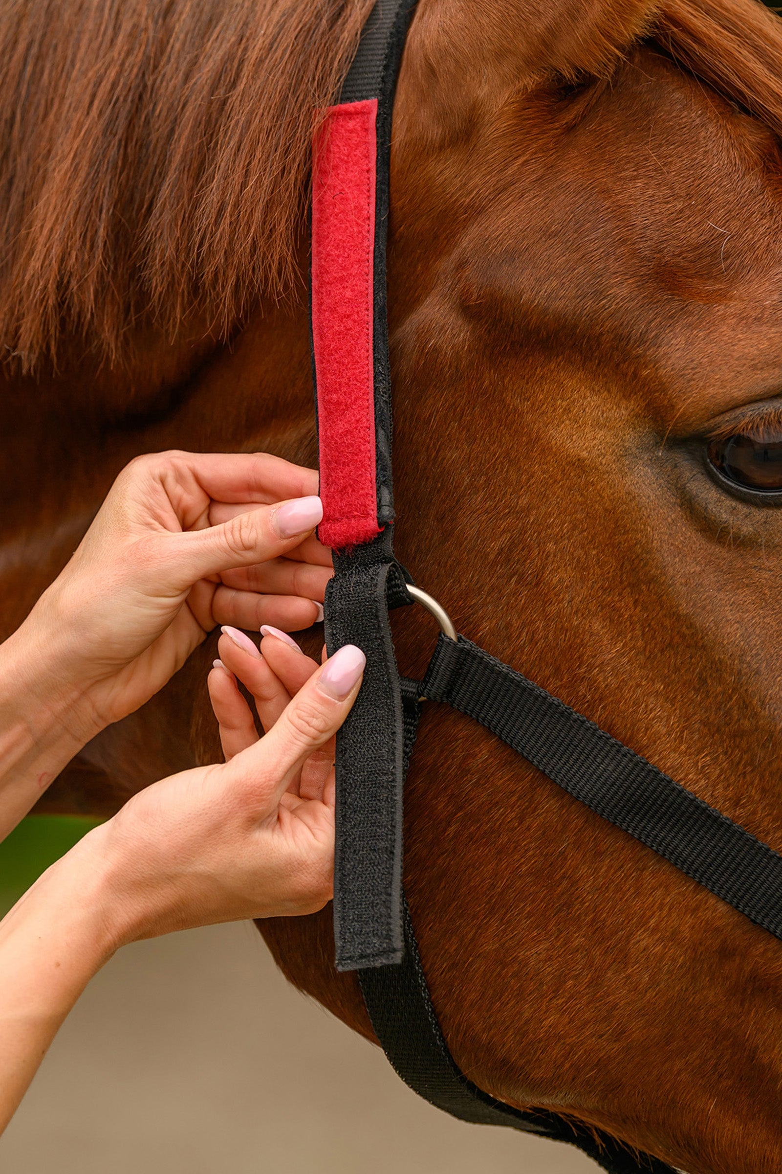 Waldhausen Clever-Open Safety Halter Halters & Leads