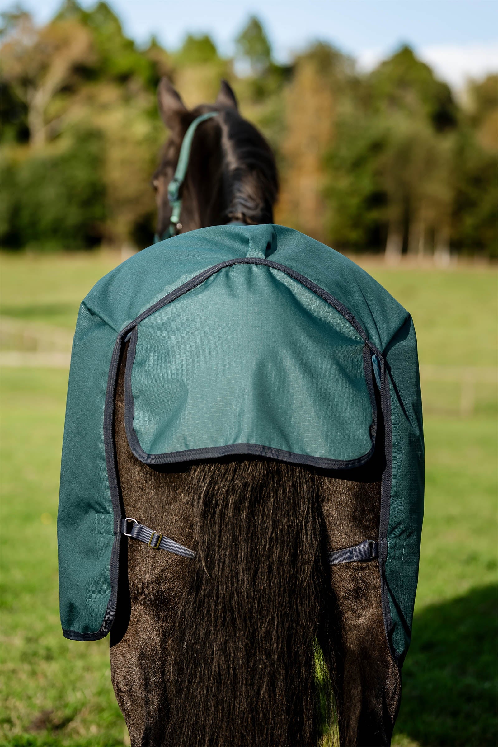 Horseware Amigo Ripstop Turnout Rug 900D, 50g Horse Rugs