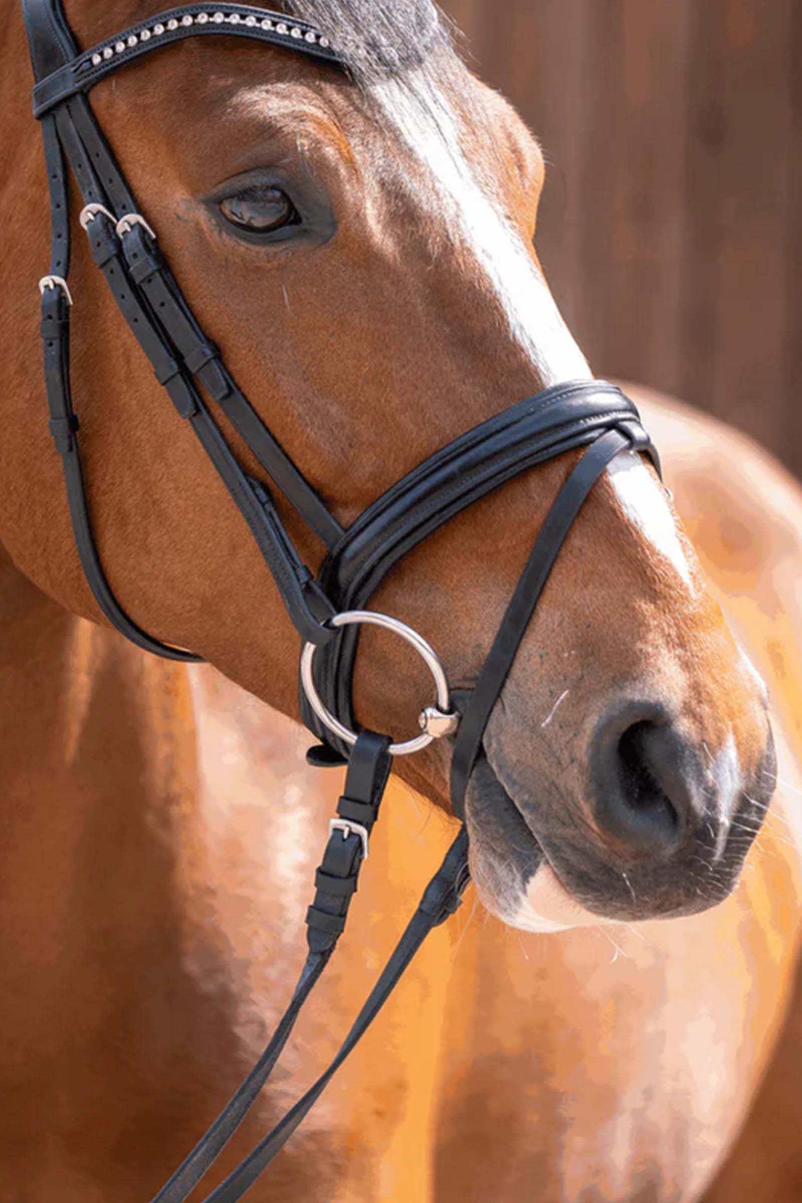 Sprenger Novocontact Loose Ring Snaffle, Single Jt. 12mm, Sensogan Horse Bits