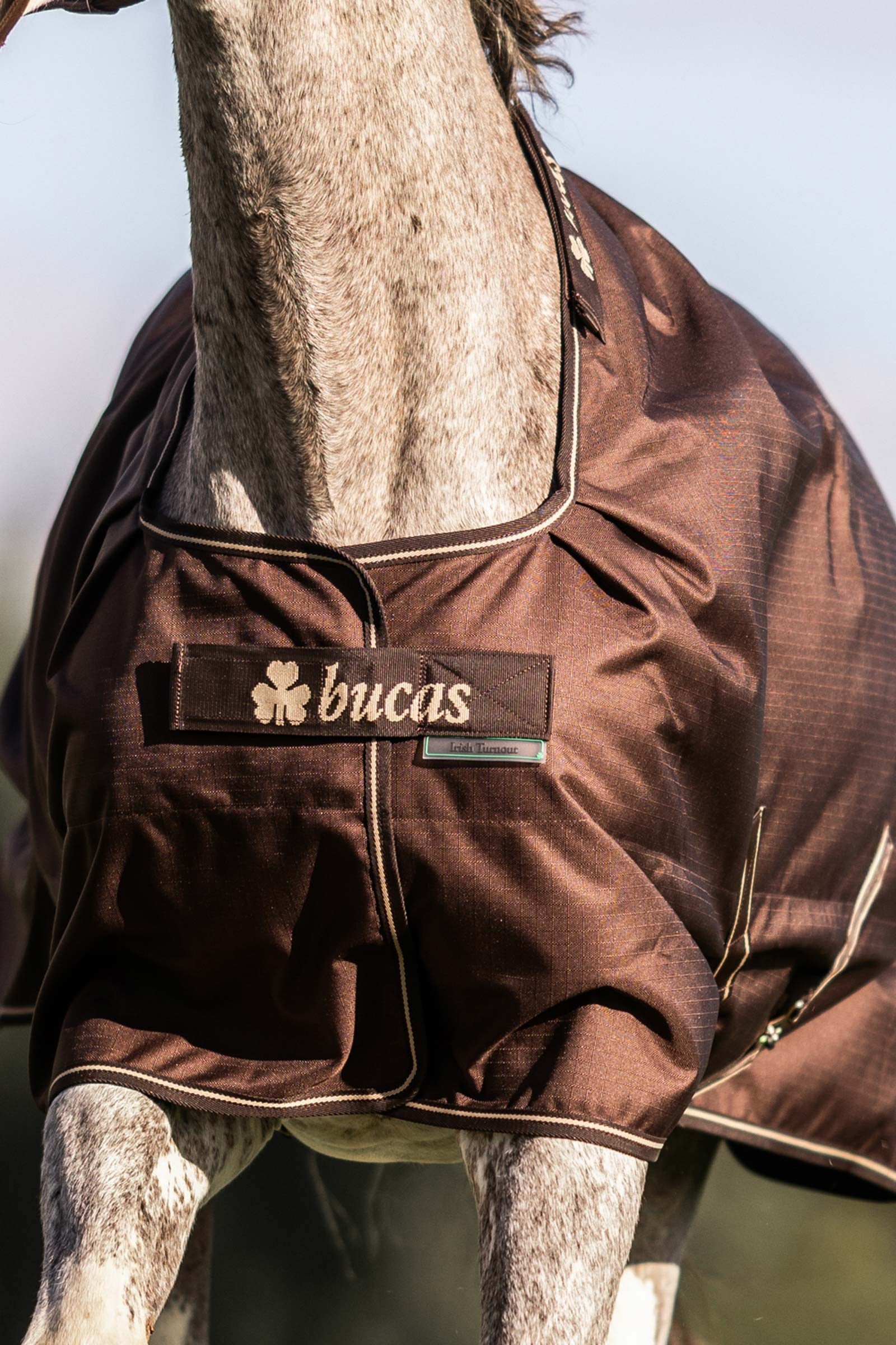 Bucas Irish Turnout 50 g Rug & Neck Horse Rugs