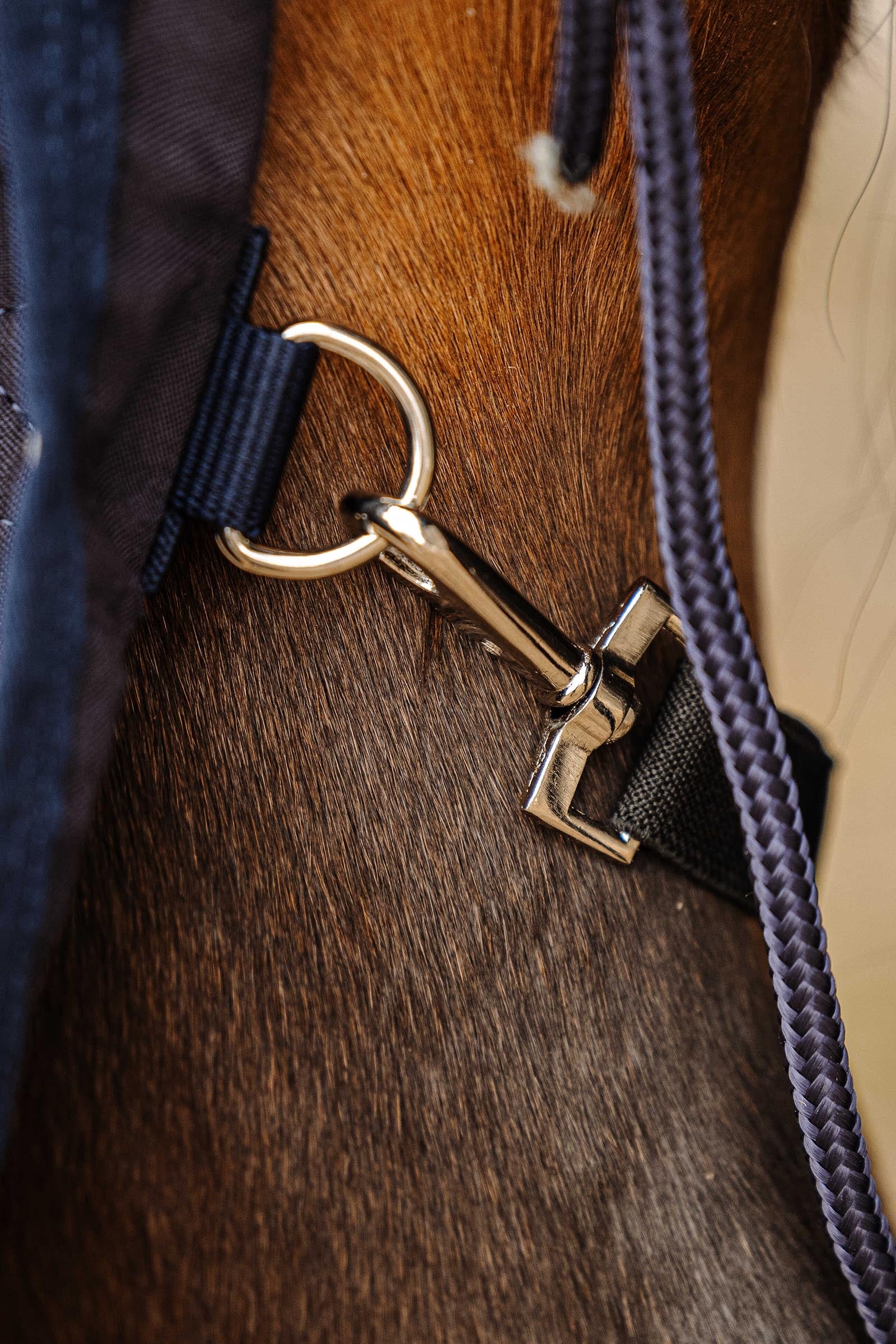 Equi Theme EQUITHÈME Wave Sheet Horse Rugs