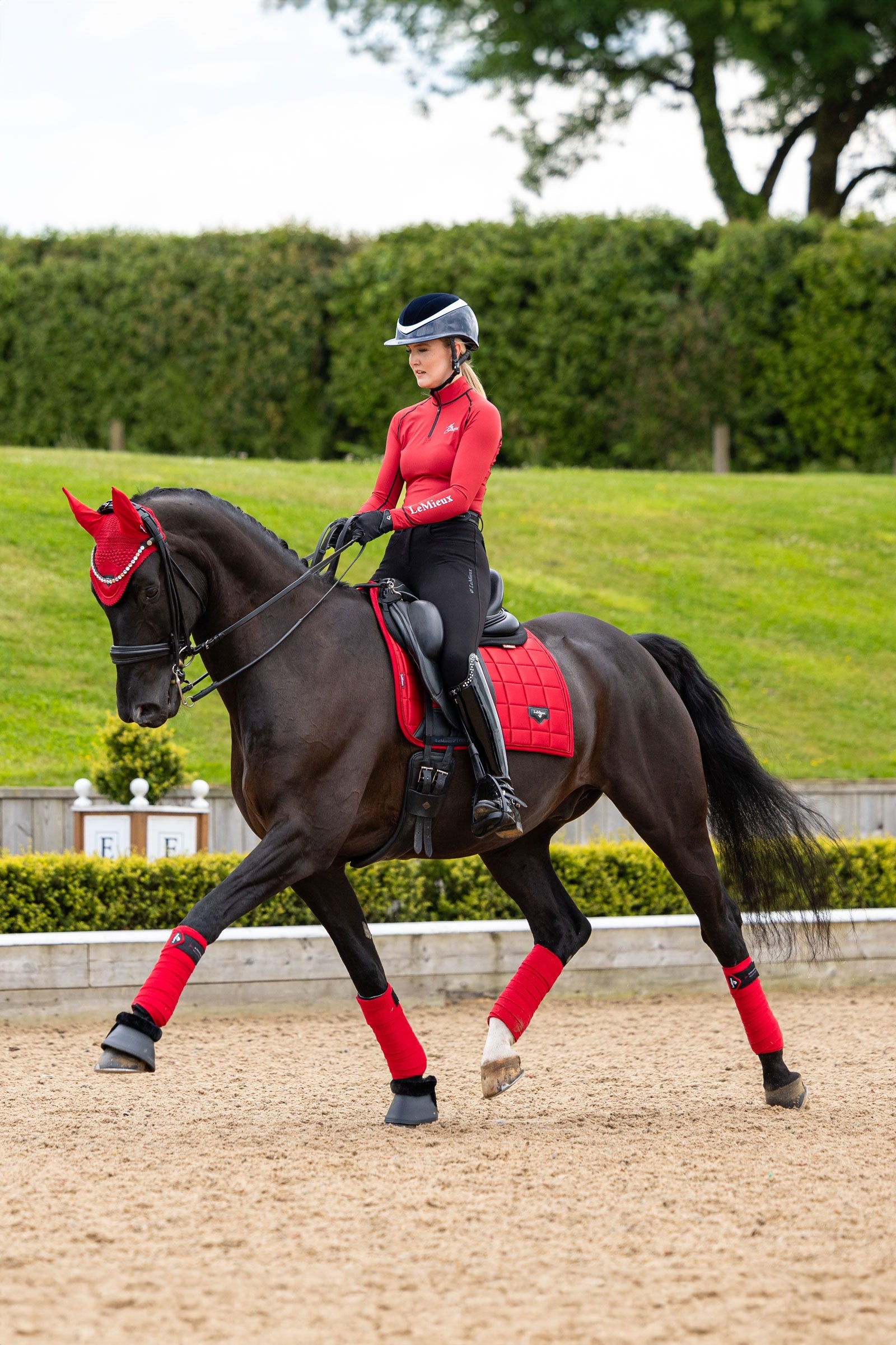 LeMieux Loire Classic Square Dressage Saddle Pad Saddle Pads