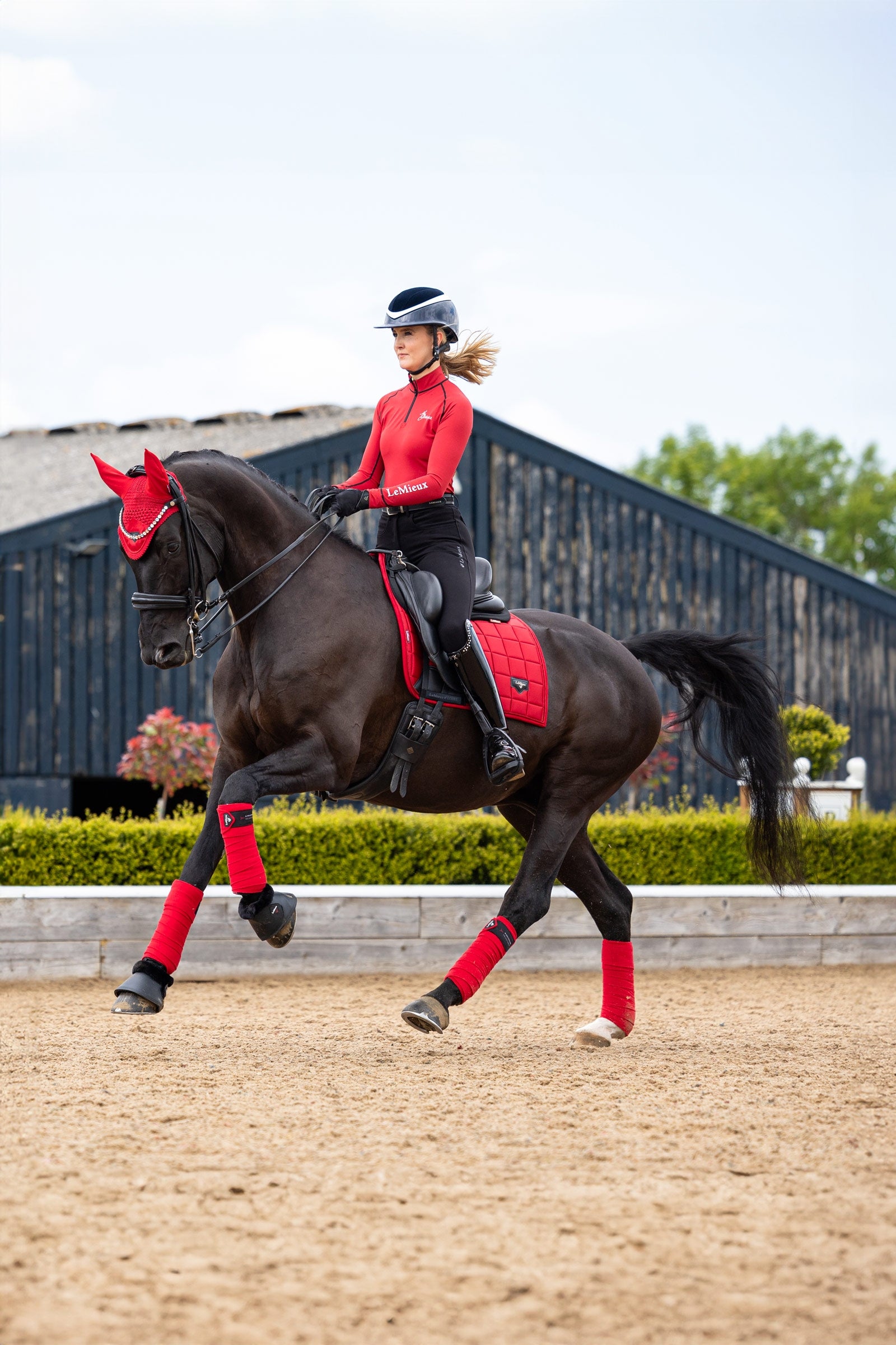 LeMieux Loire Classic Square Dressage Saddle Pad Saddle Pads
