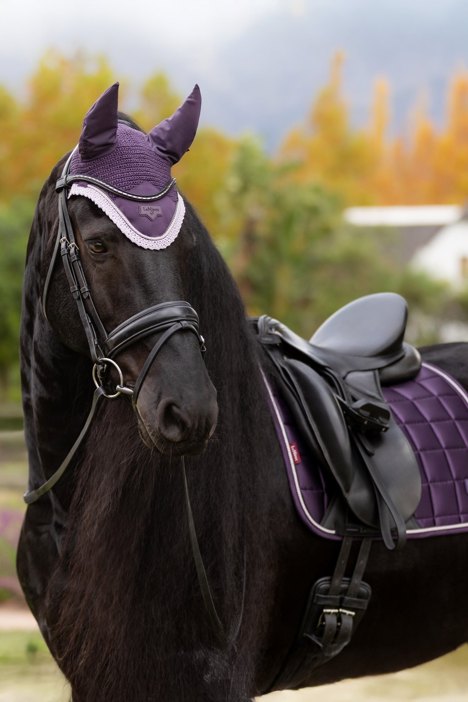 LeMieux Loire Classic Square Dressage Saddle Pad Saddle Pads