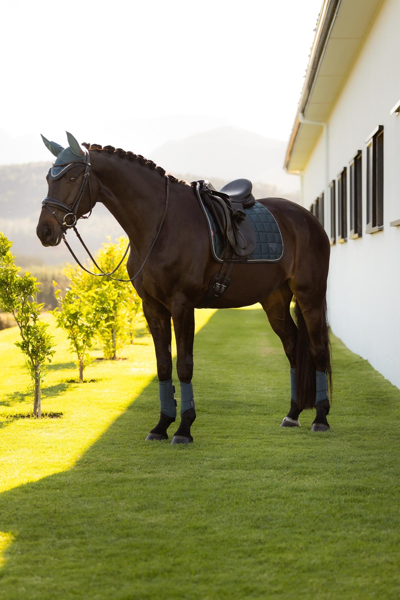 LeMieux Loire Classic Square Dressage Saddle Pad Saddle Pads