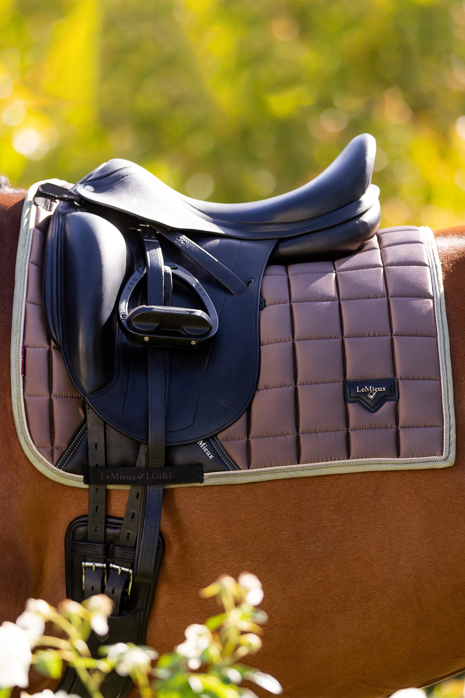 LeMieux Loire Classic Square Dressage Saddle Pad Saddle Pads