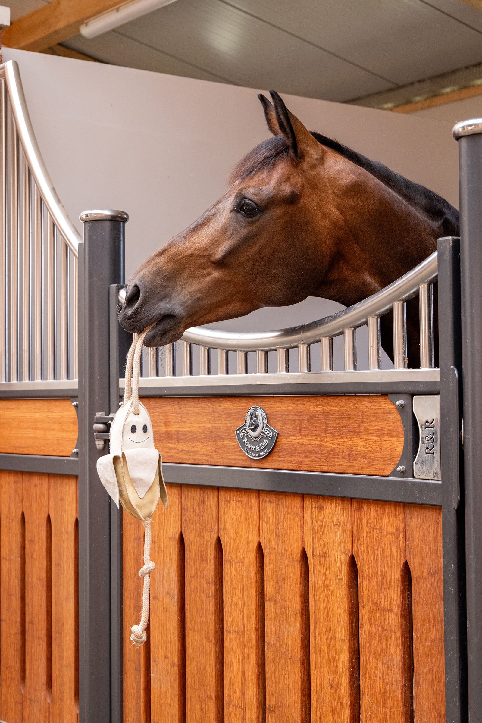 LeMieux Horse Toy Horse Toys & Riding Arena Supplies