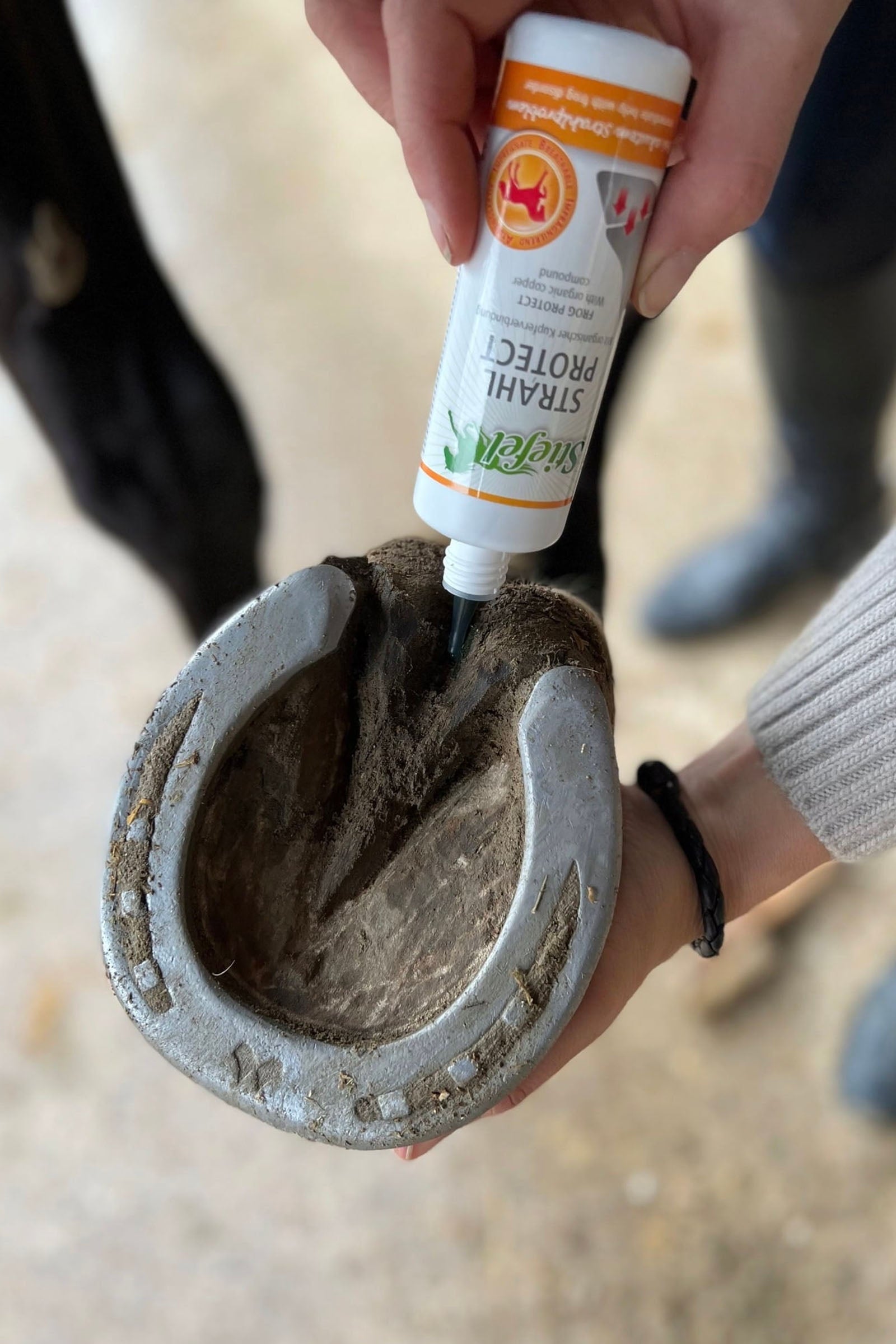 Stiefel Frog Protect Horse Health Care