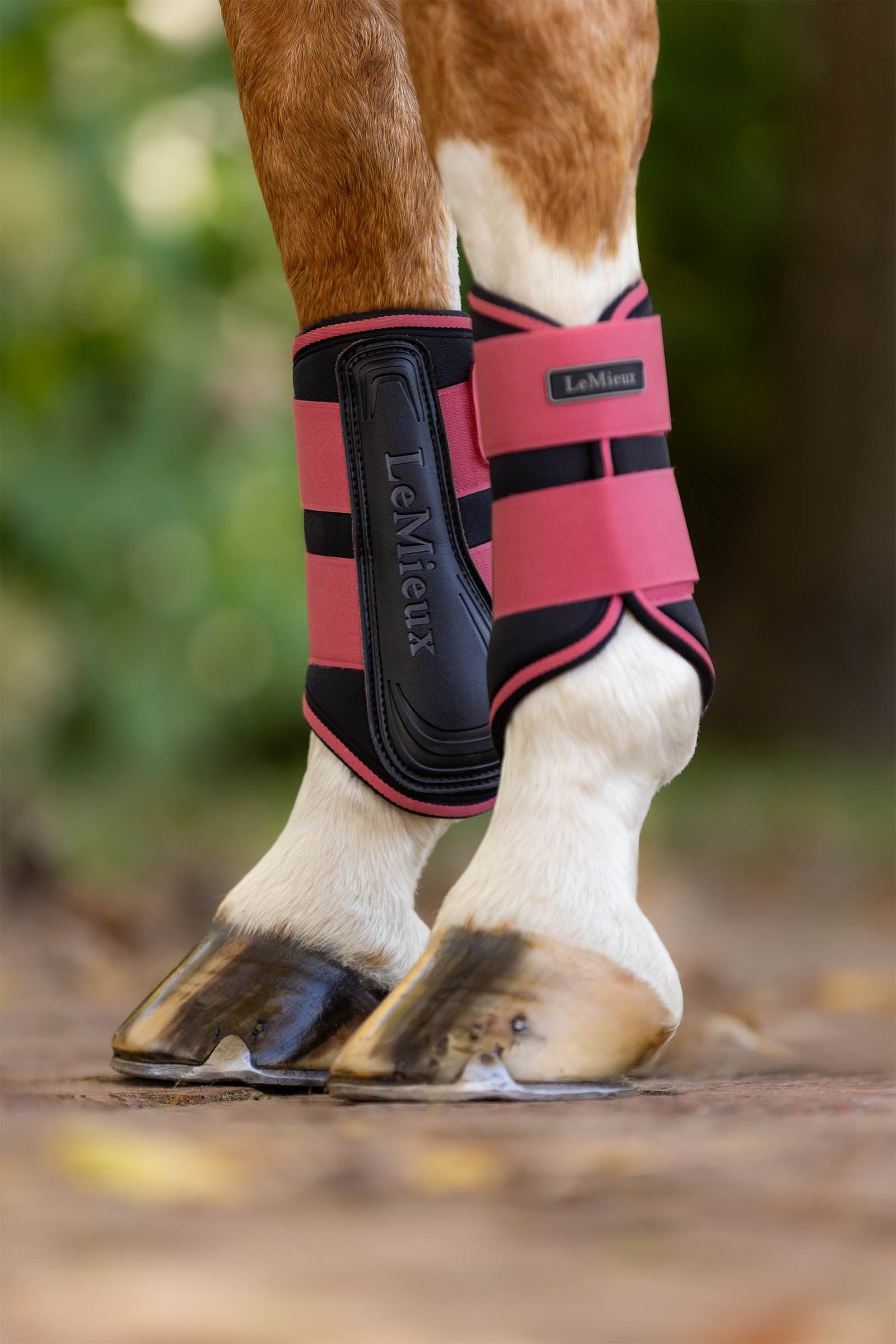 LeMieux Grafter Brushing Boots Leg Protection & Hoof Protection for Horses