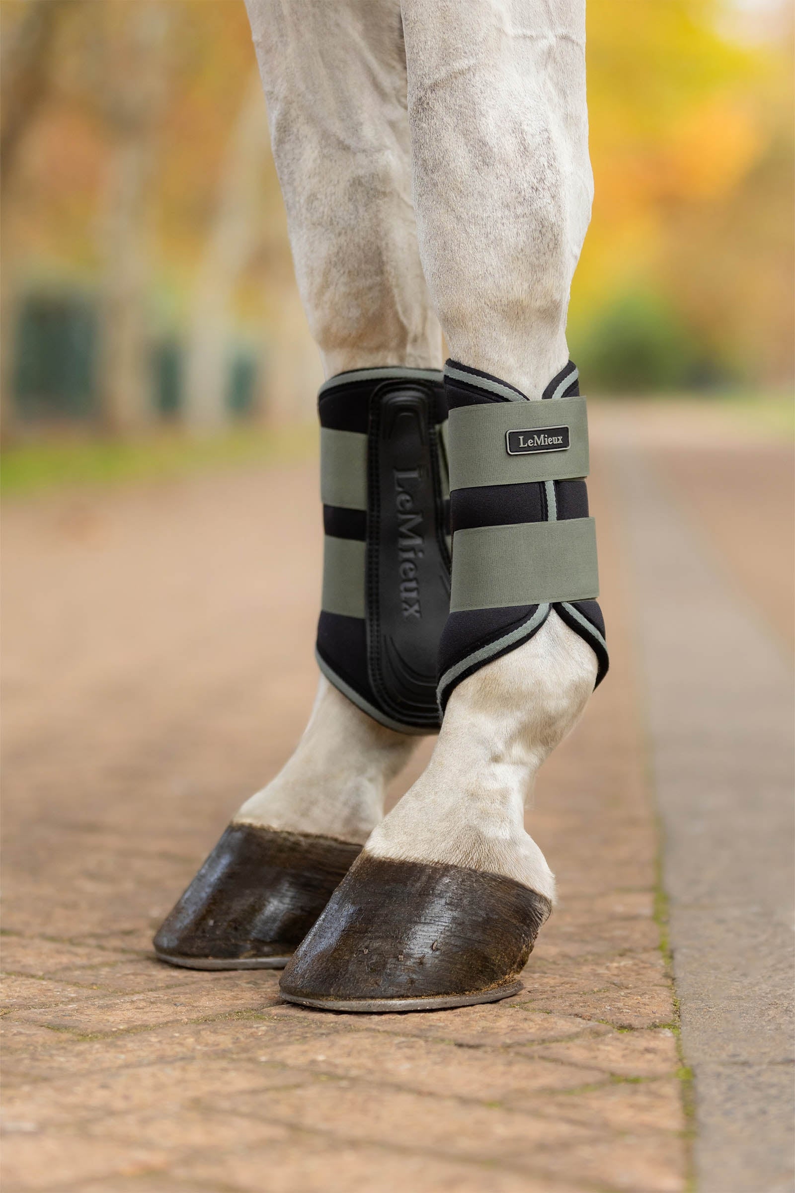 LeMieux Grafter Brushing Boots Leg Protection & Hoof Protection for Horses
