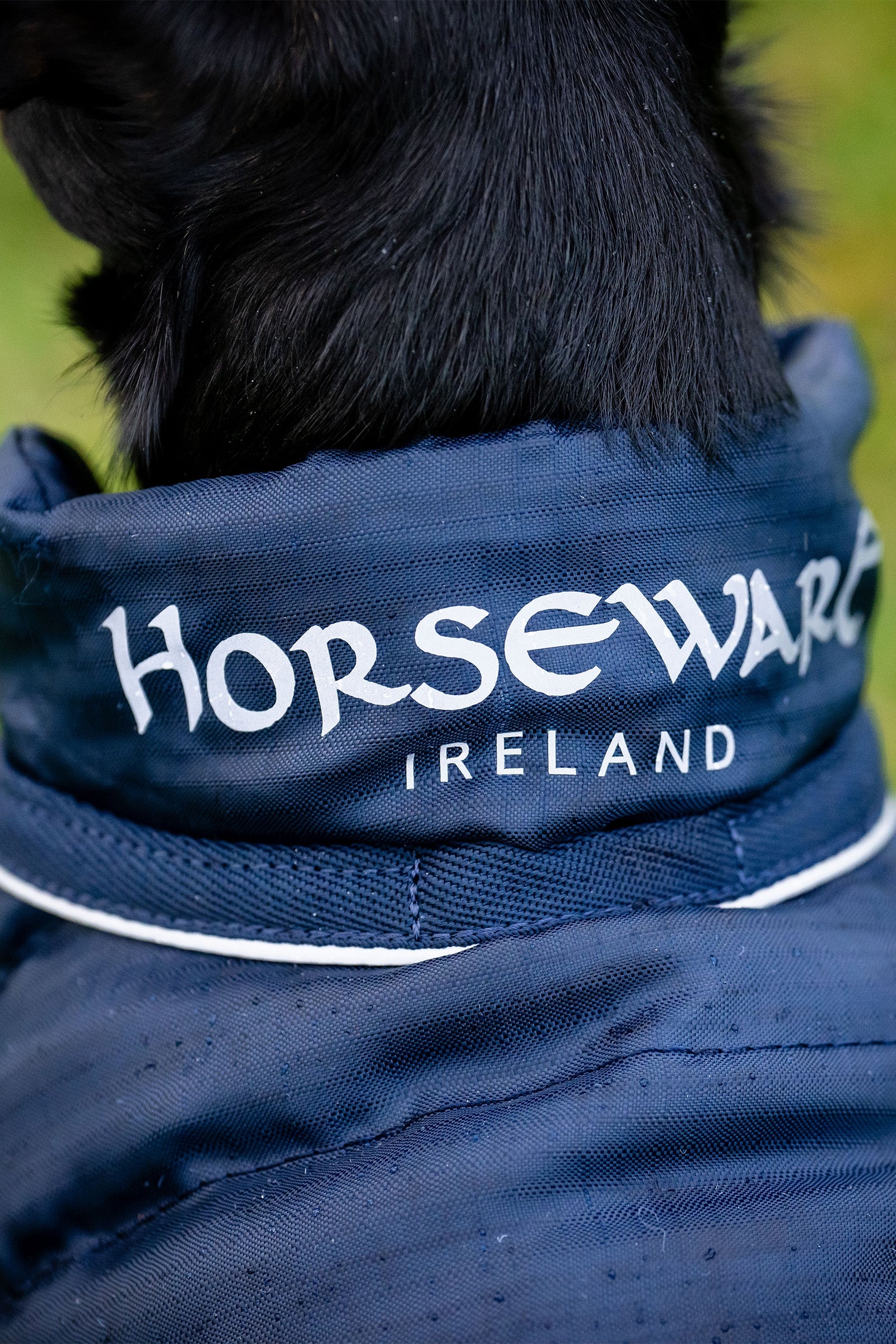 Horseware Signature Dog Rain Coat Dog Accesories