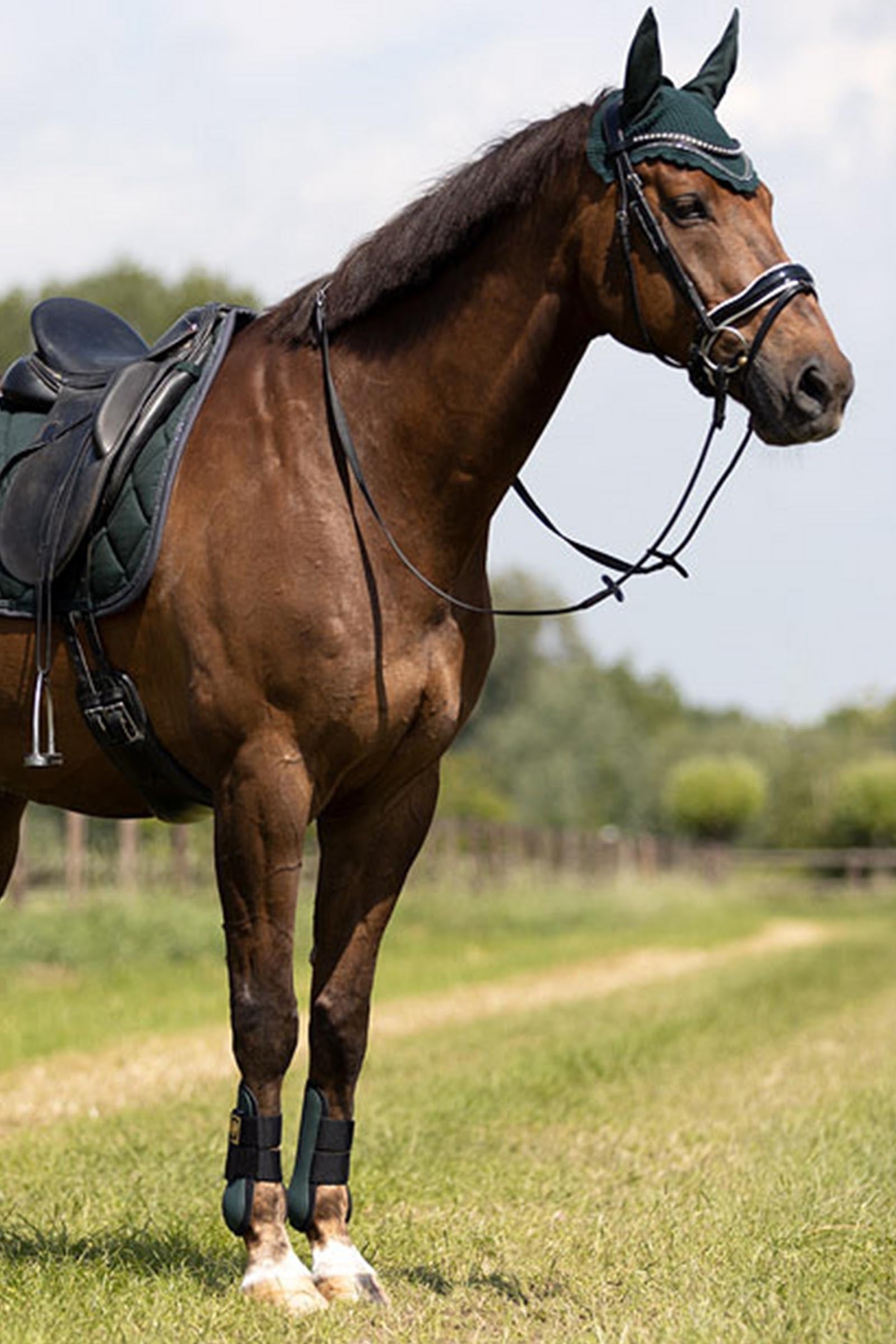 BR Event Tendon Boots Leg Protection & Hoof Protection for Horses