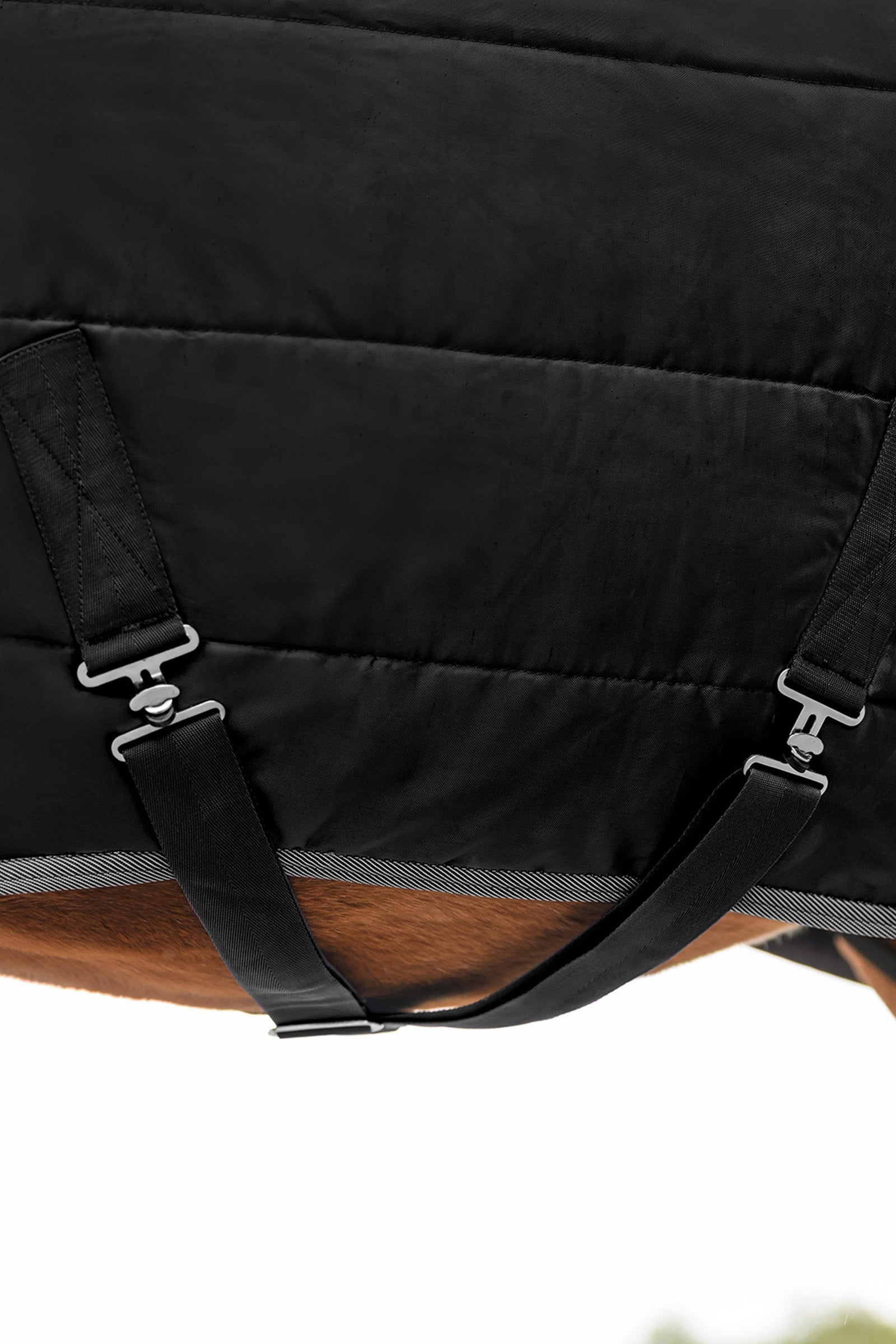 Waldhausen ECONOMIC 420D Stable Rug, 300 g Horse Rugs