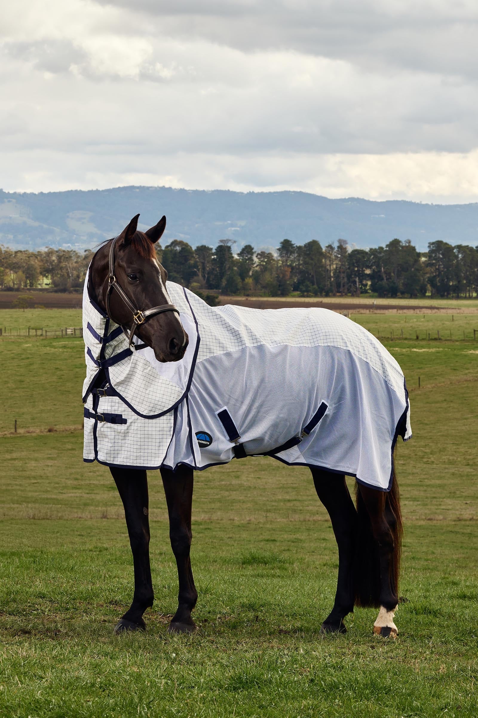 Weatherbeeta Airstream Combo W. Fixed Neck, 0g Horse Rugs
