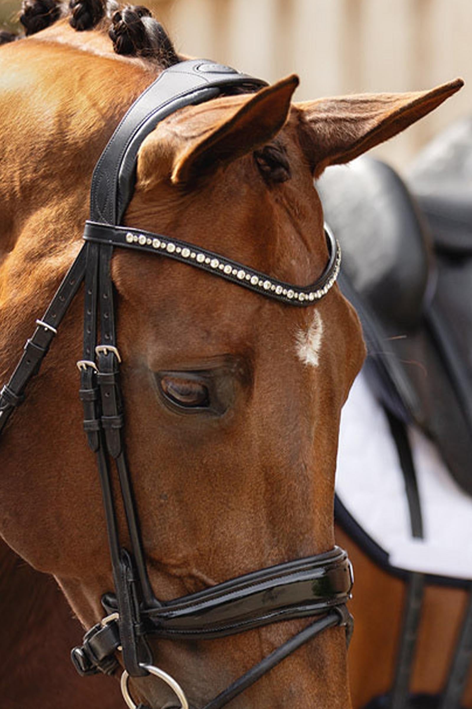 Anky ANKY Anatomic Comfort Fit Bridle With Pull Back Double Bridles & Reins