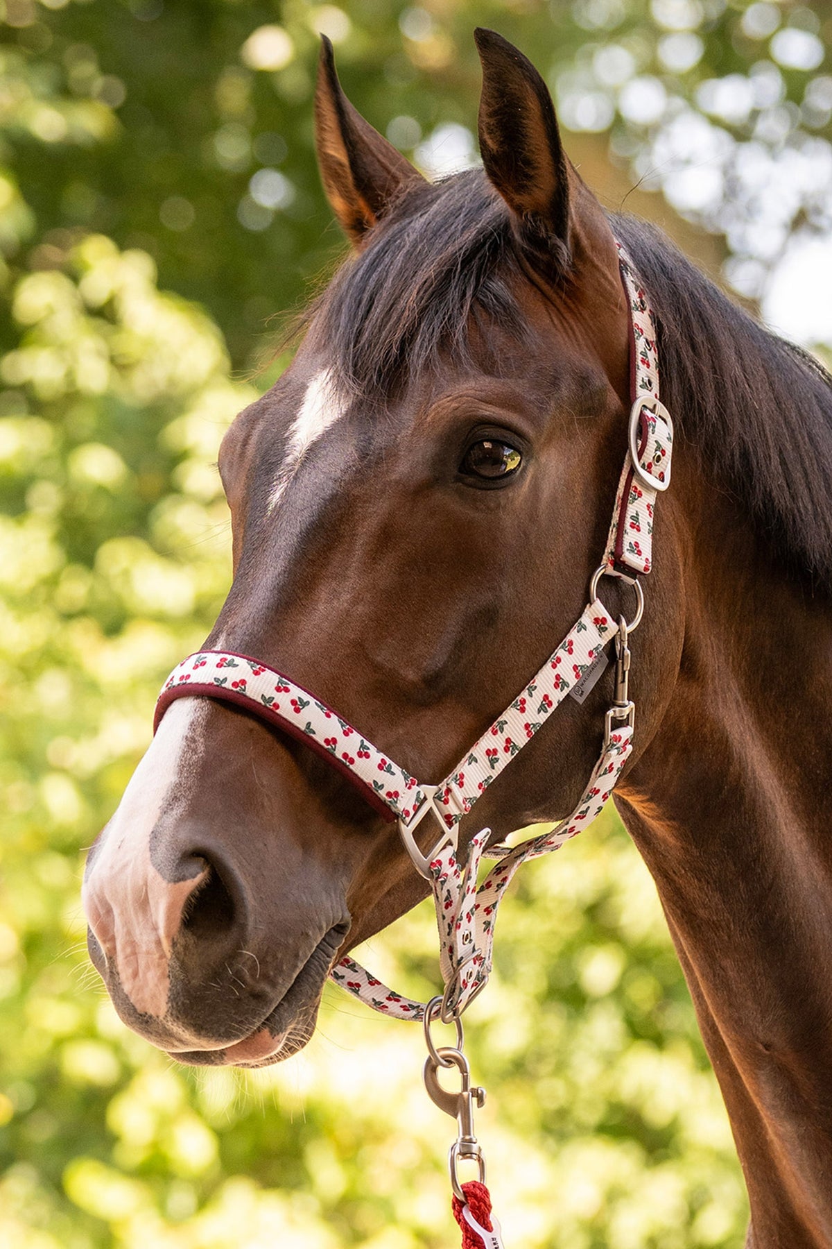 Waldhausen Cherry Halter Halters & Leads