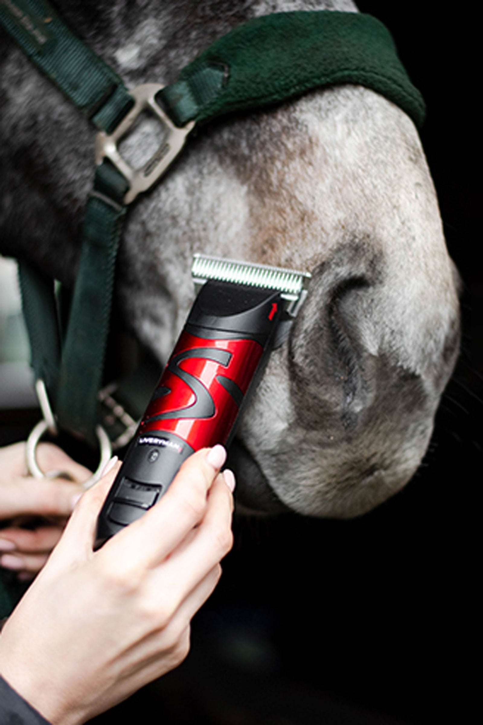 Liveryman Harmony Plus With Wide Fine Blade, 2.4 mm Horse Clipping & Trimming Tools