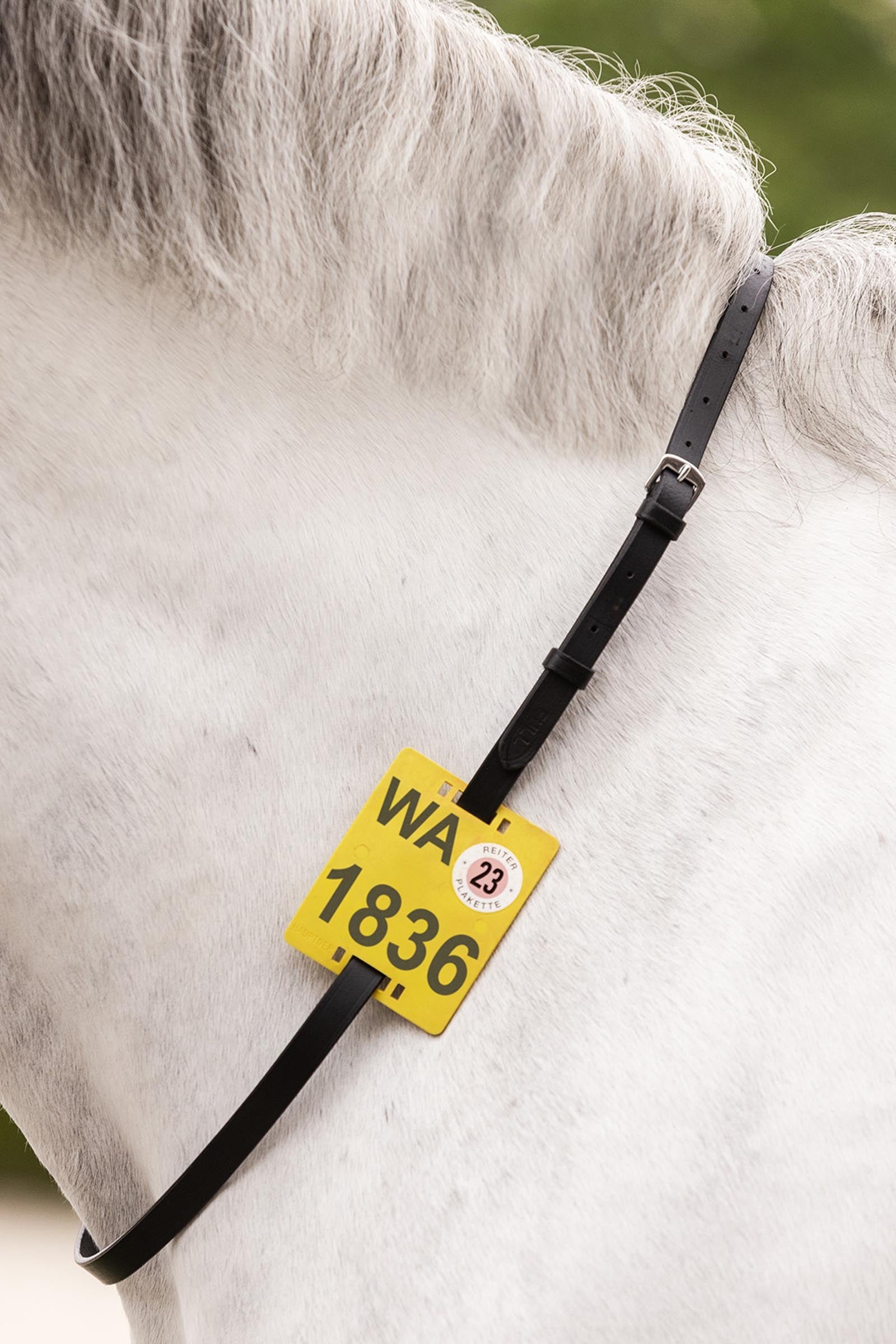 Waldhausen Riding Strap For Riding Badge Bridles & Reins