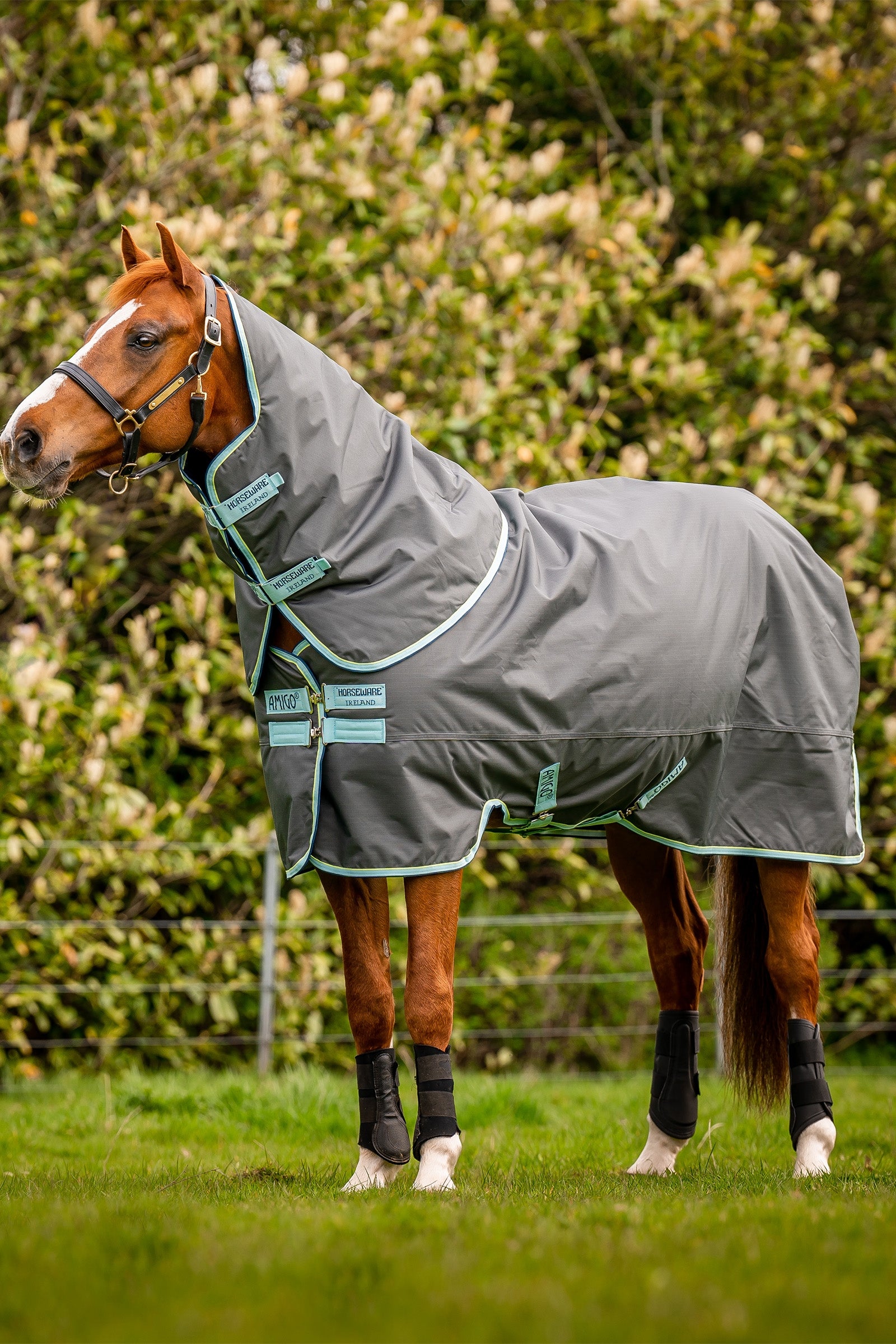 Horseware Amigo Hero Ripstop Plus Weidedecke mit abnehmbarem Hals, 200g Pferdedecken