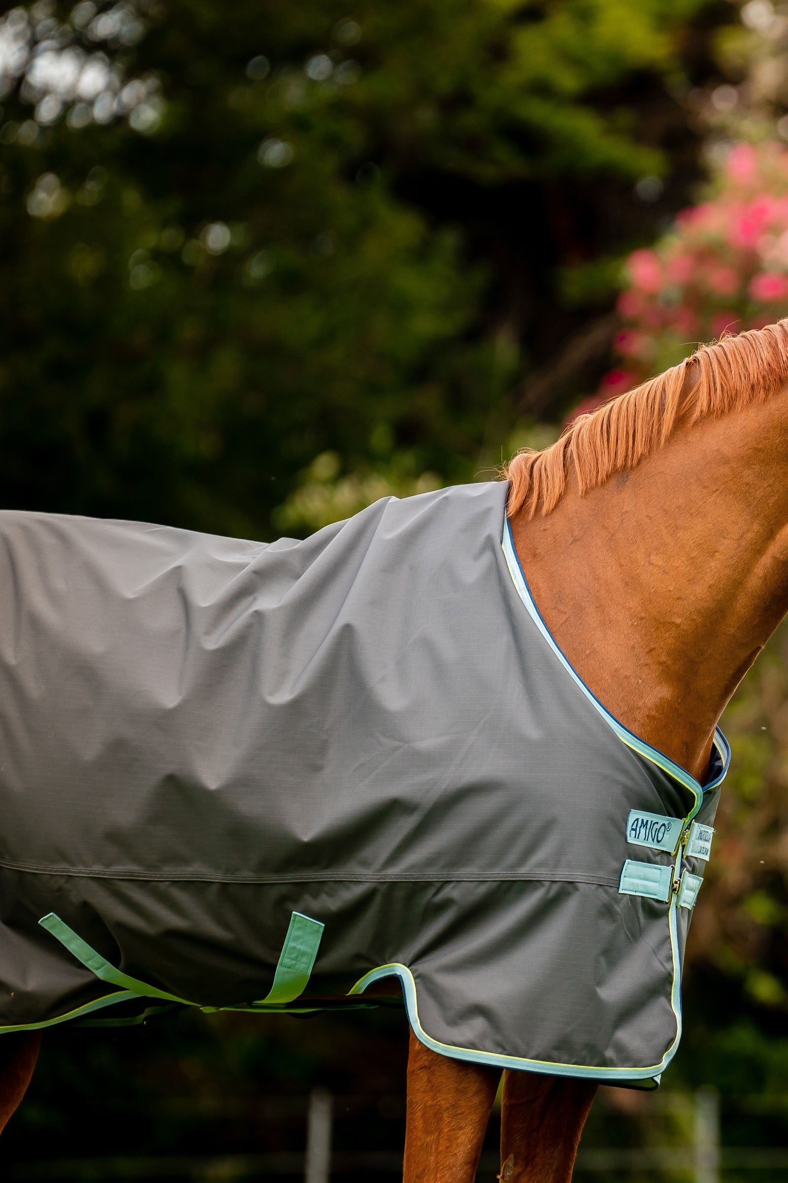 Horseware Amigo Hero Ripstop Plus Turnout Rug With Detachable Neck, 200g Horse Rugs
