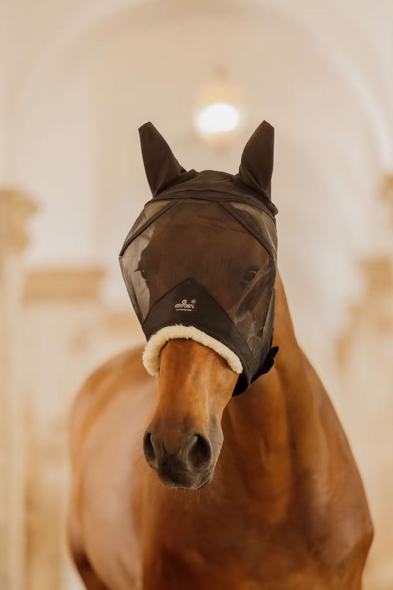 Kentucky Horsewear Fly mask skin friendly with ears Antifly Protection for Horses