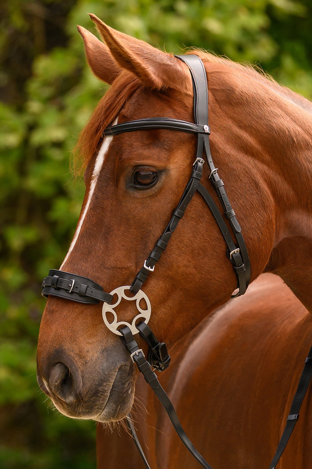 Waldhausen X-Line Bitless Sensitive Bridle Bridles & Reins