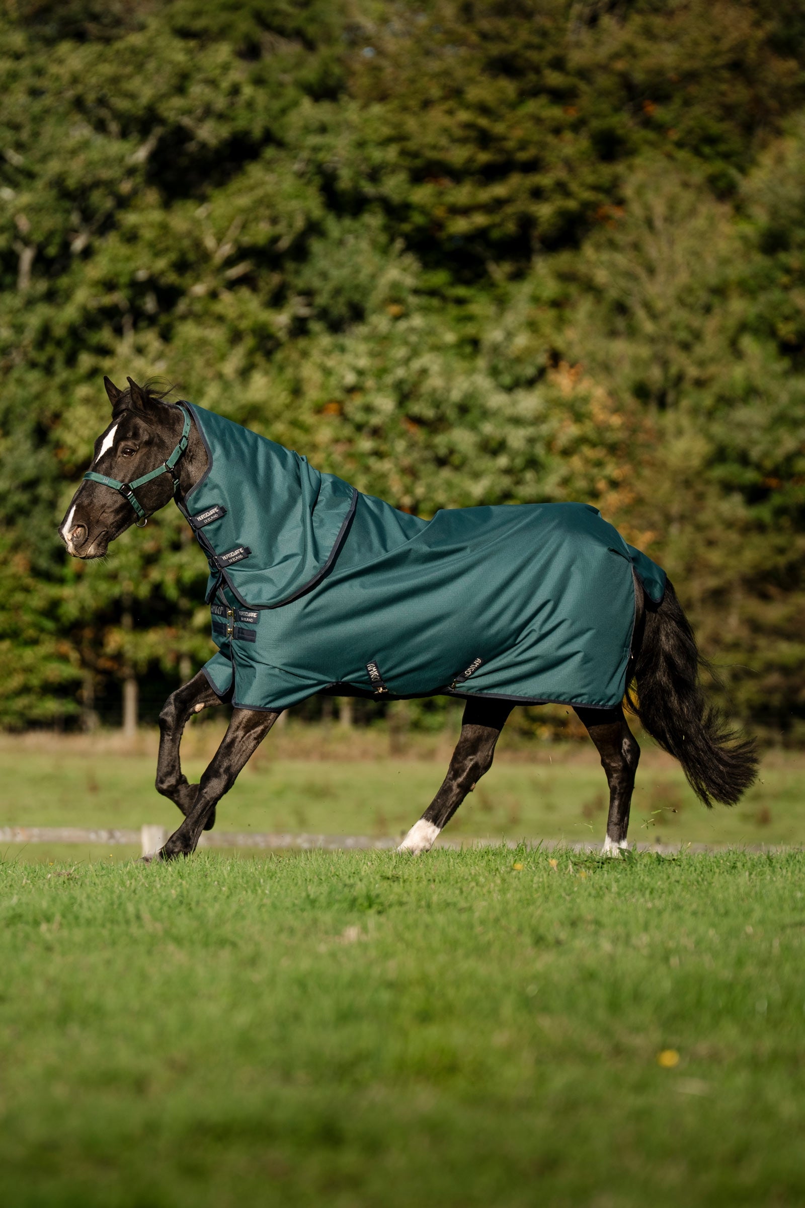 Horseware Amigo Ripstop 900D Plus Turnout, 200g Horse Rugs